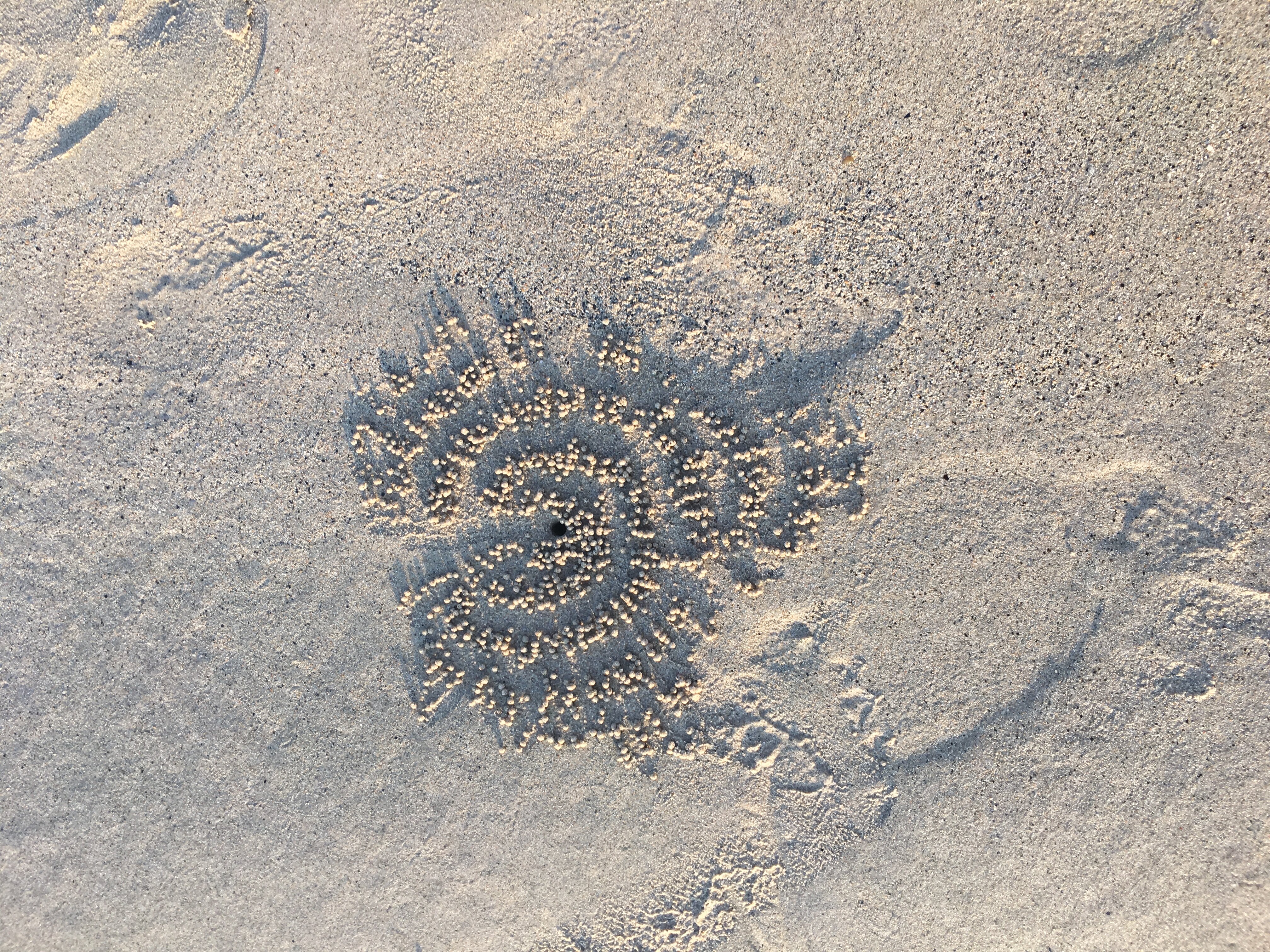 Фото Andara Resort & Villas