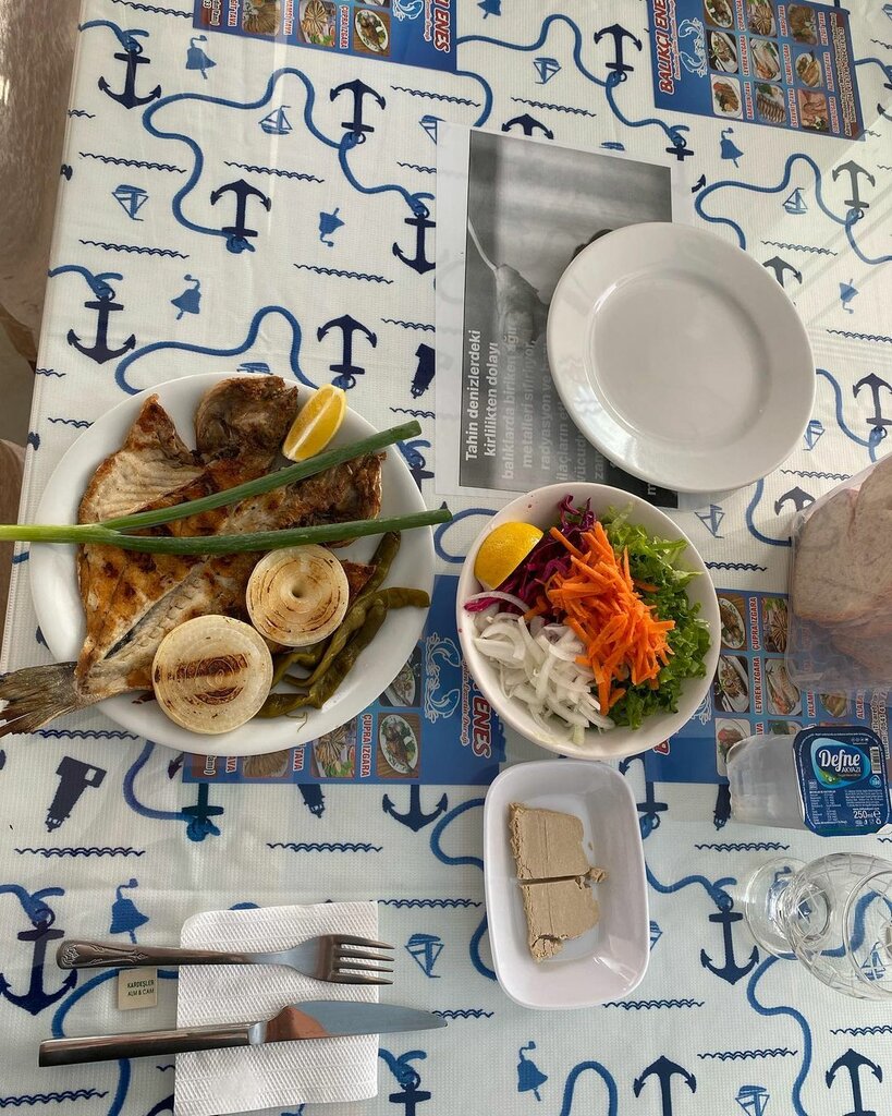Restaurant Hendek Fish Restaurant, Hendek, photo