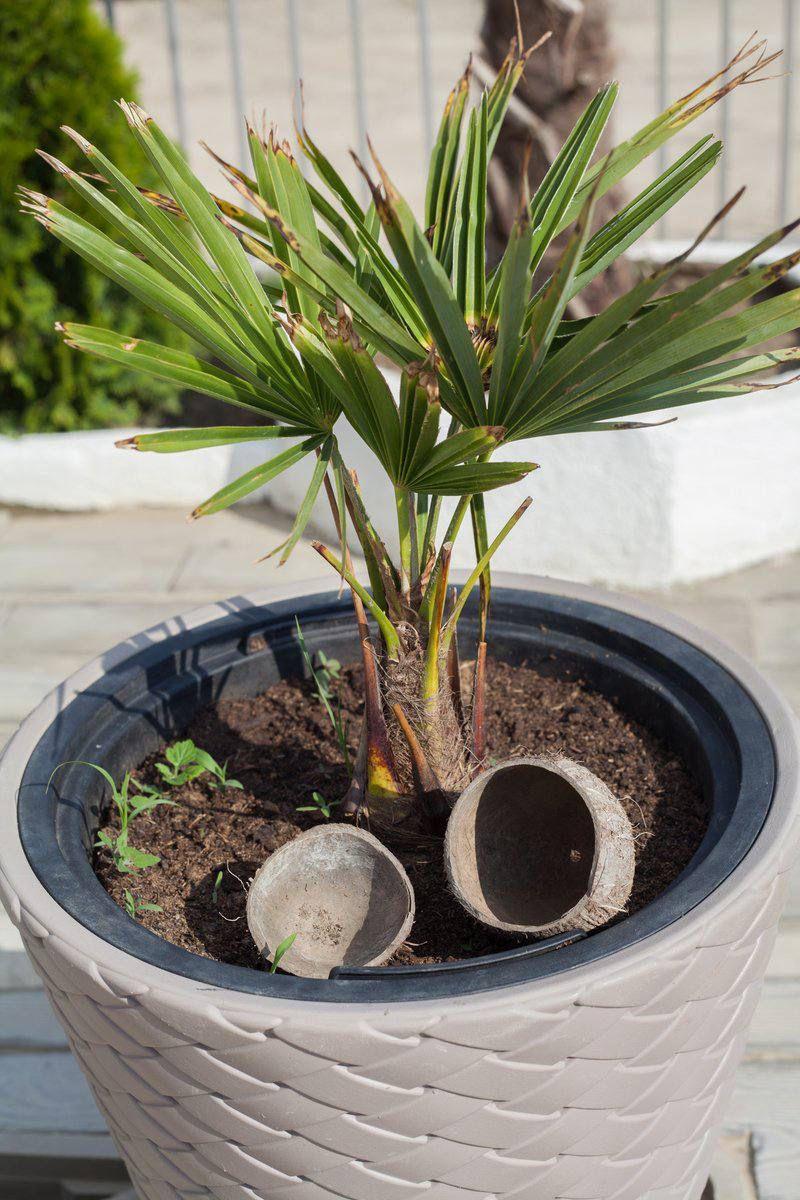 Фото Вилла Мария