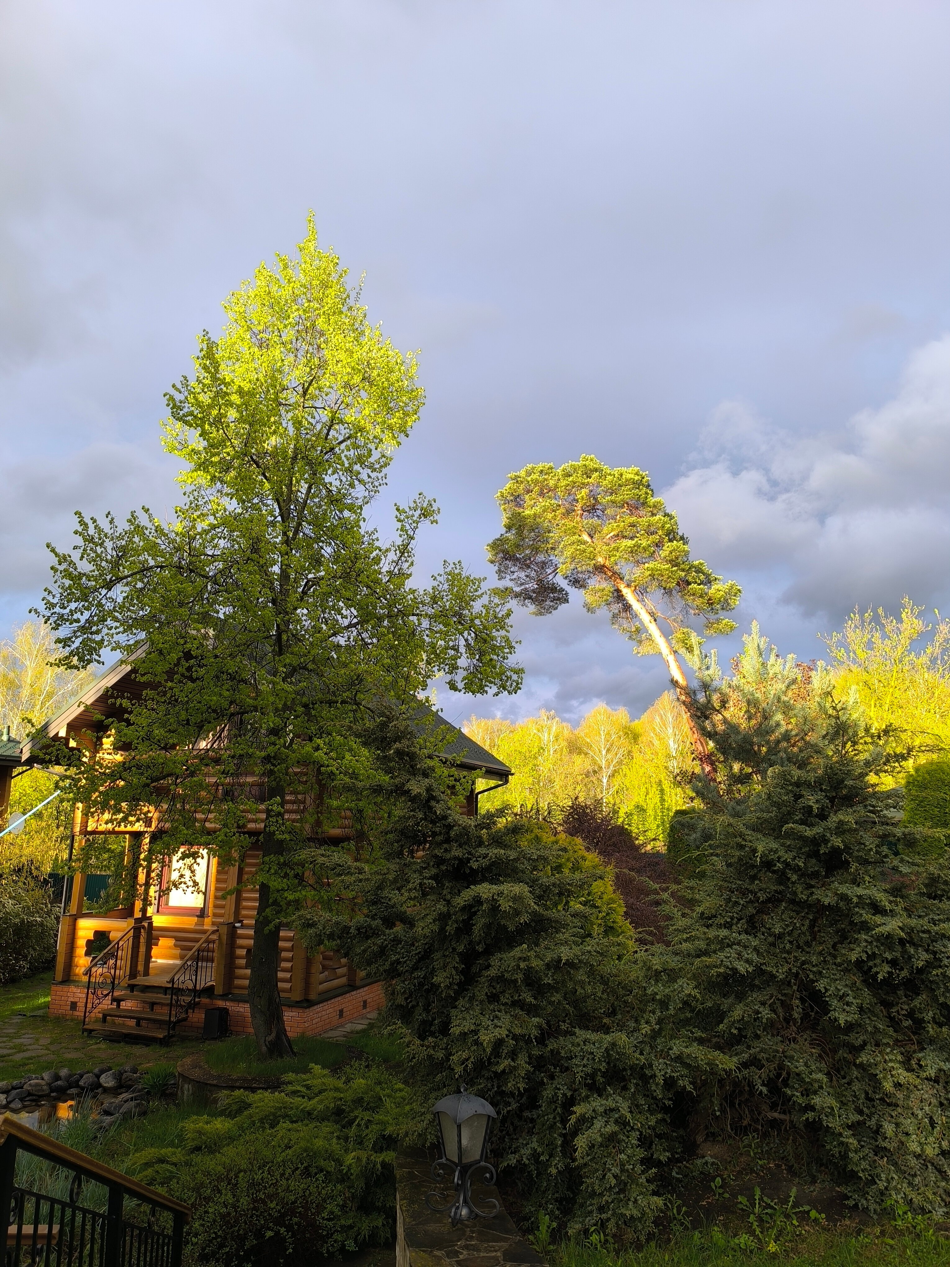 Фото Теремок