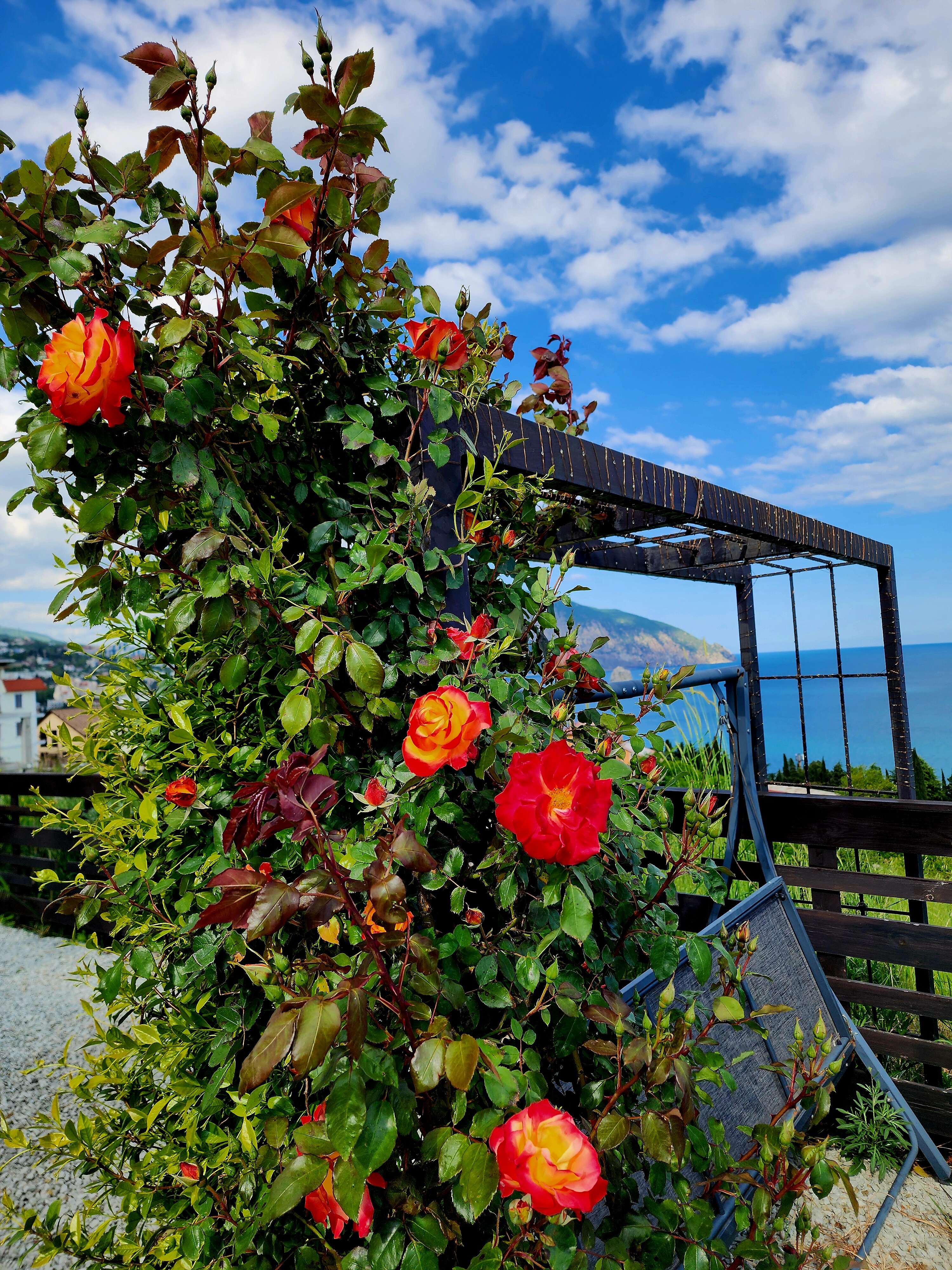 Фото Вилла Монте Виера