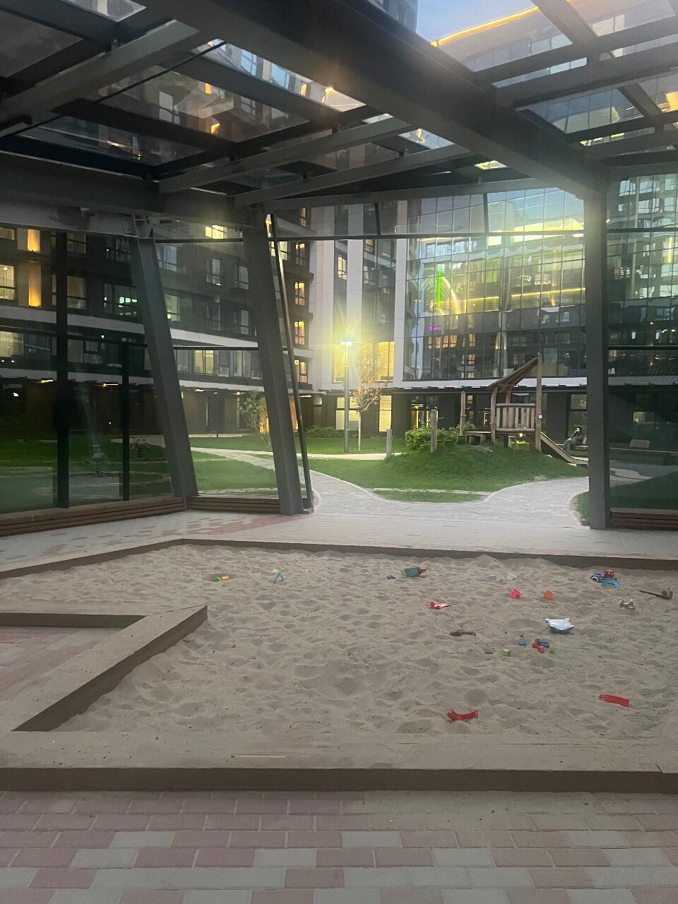 Фото Белый Клевер