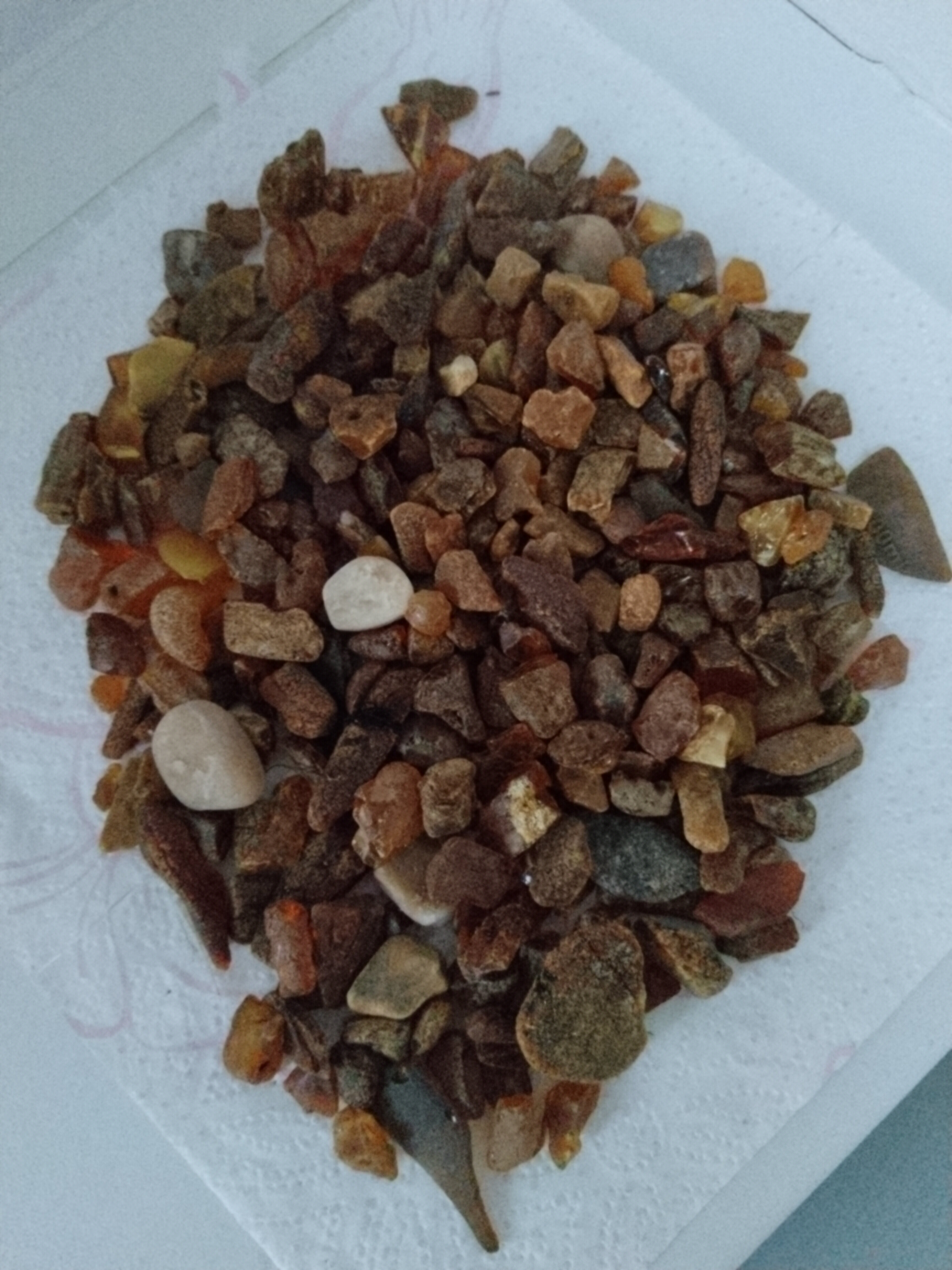 Фото Апартаменты у моря