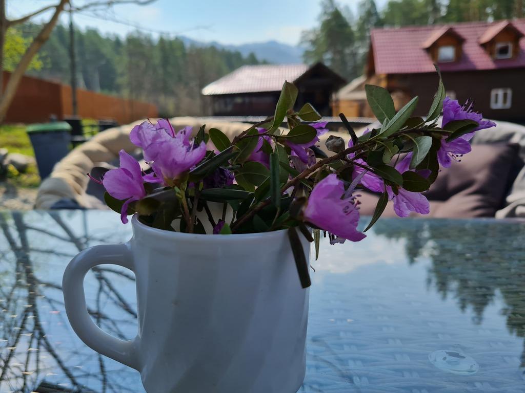 Фото Удачный