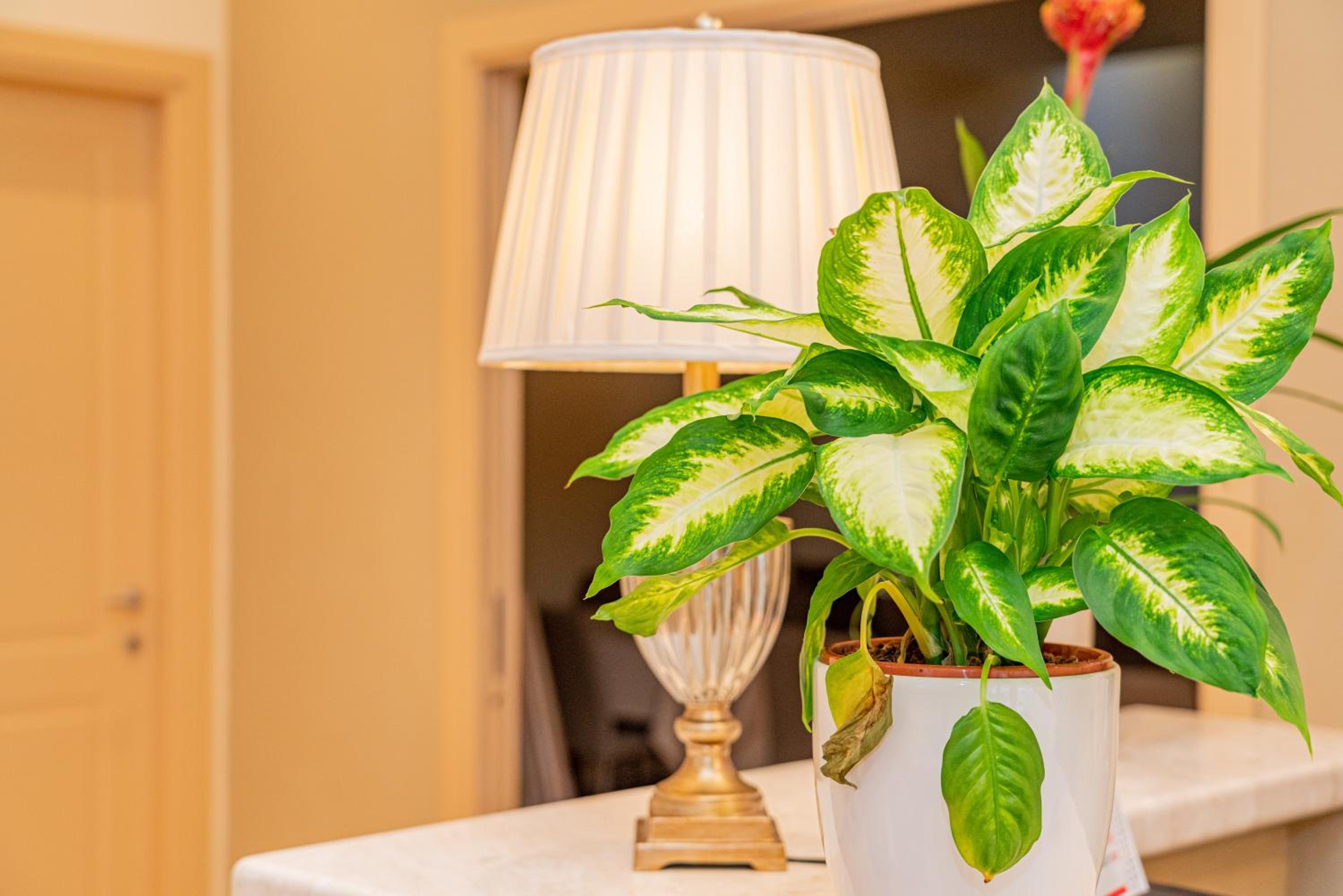 Фото Hotel Regina Elena