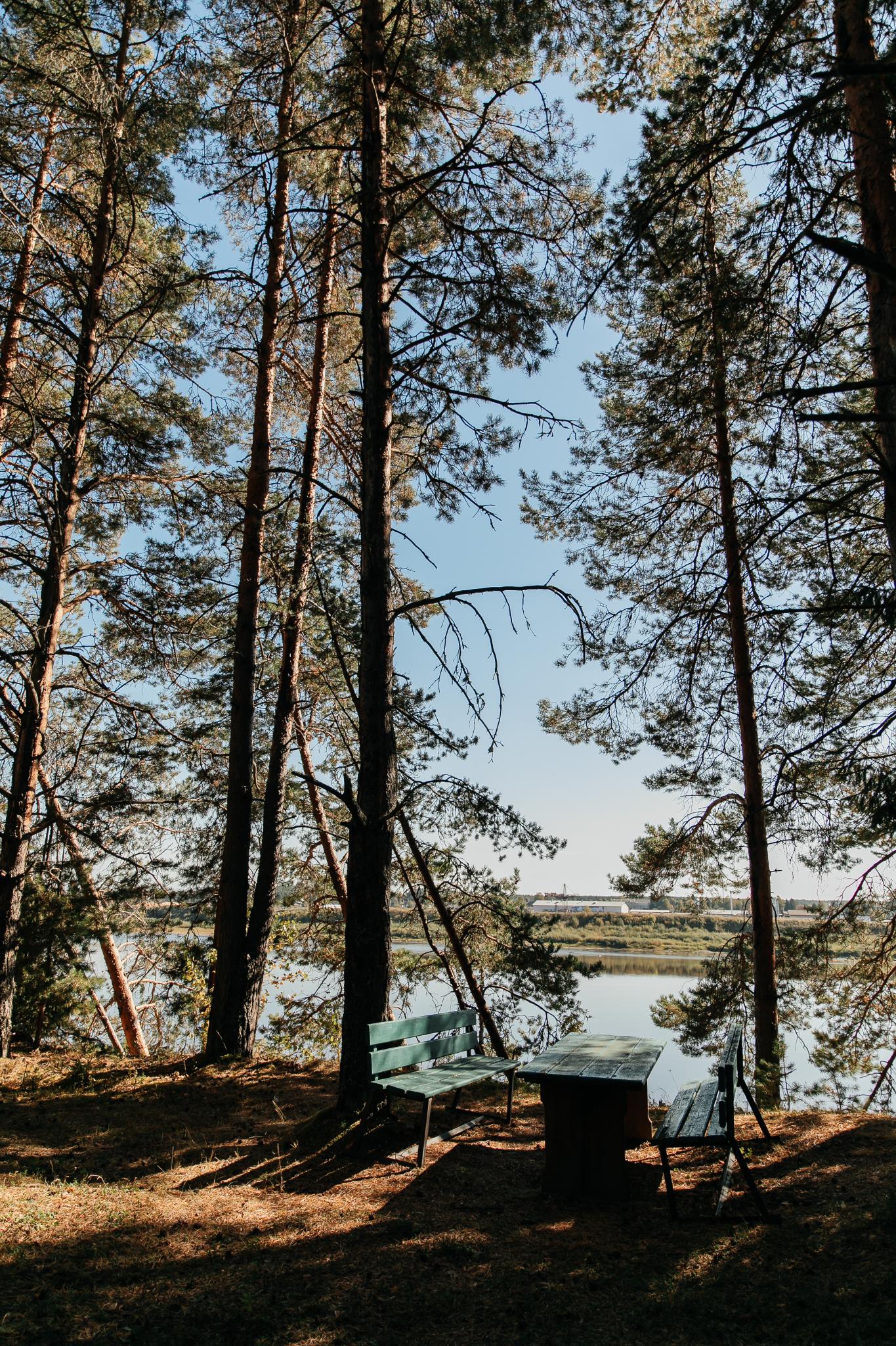 Фото Северная звезда