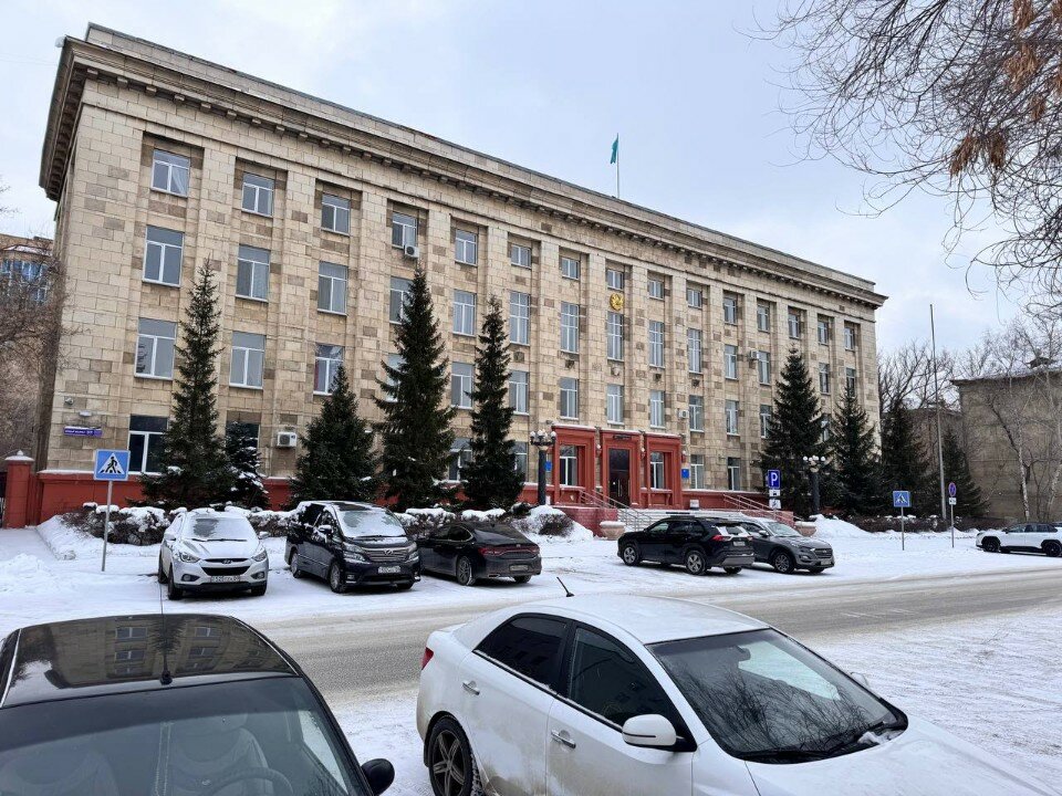 Үлкен семіз қара әйел