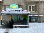 CvetOpt (Mukan Tulebaev Street, 174), flower shop