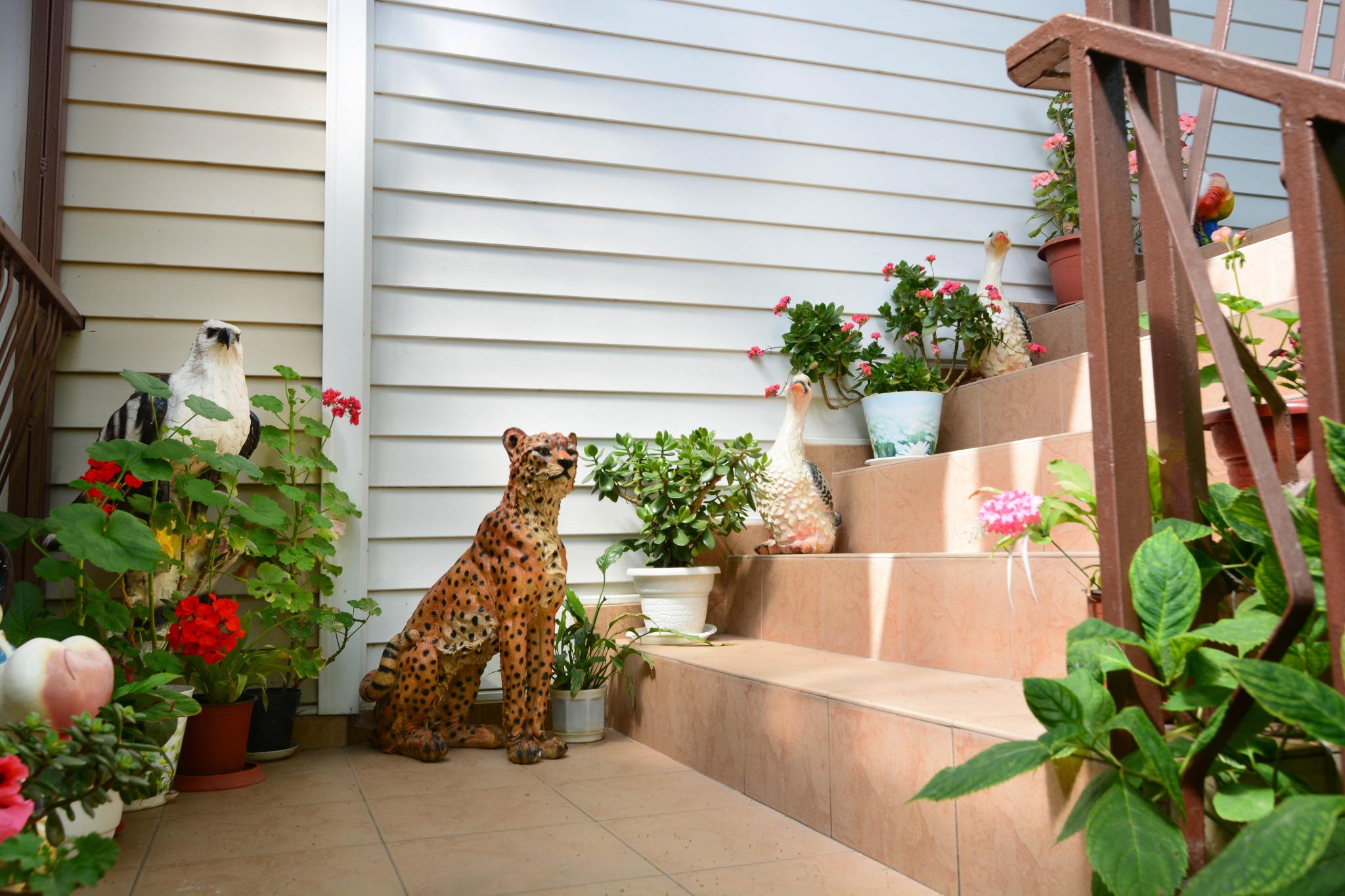 Фото Звёздочка