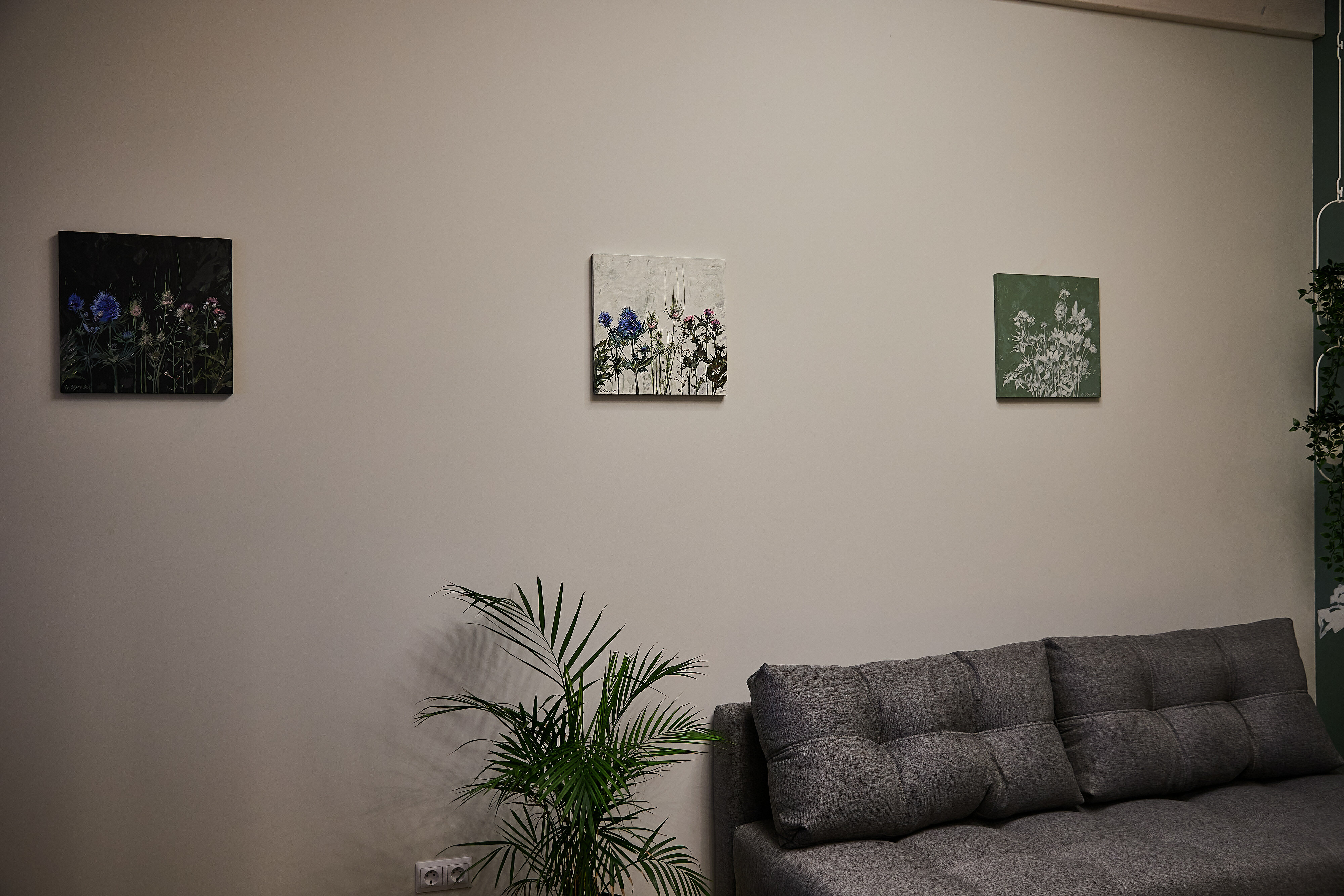 Фото Аколица