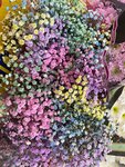 Flowers 24 (ulitsa Prosveshcheniya, 11к3) ، محل زهور