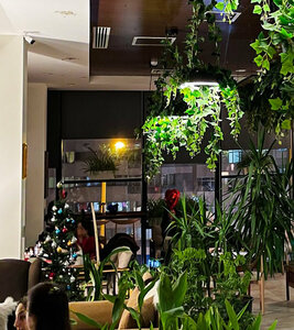 Azbar World Flavors (Eskişehir, Odunpazari District, Sehit Yuzbasi Tuncer Gungor Avenue, 7), restaurant