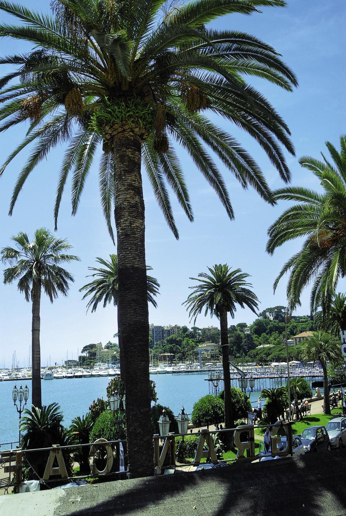 Фото Hotel Mirò