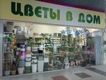 Tsvety V dom (prospekt Avtozavodtsev, 65) ، محل زهور