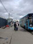 Станция метро Парнас (St. Petersburg, Pargolovo Settlement, Mikhaila Dudina Street), public transport stop