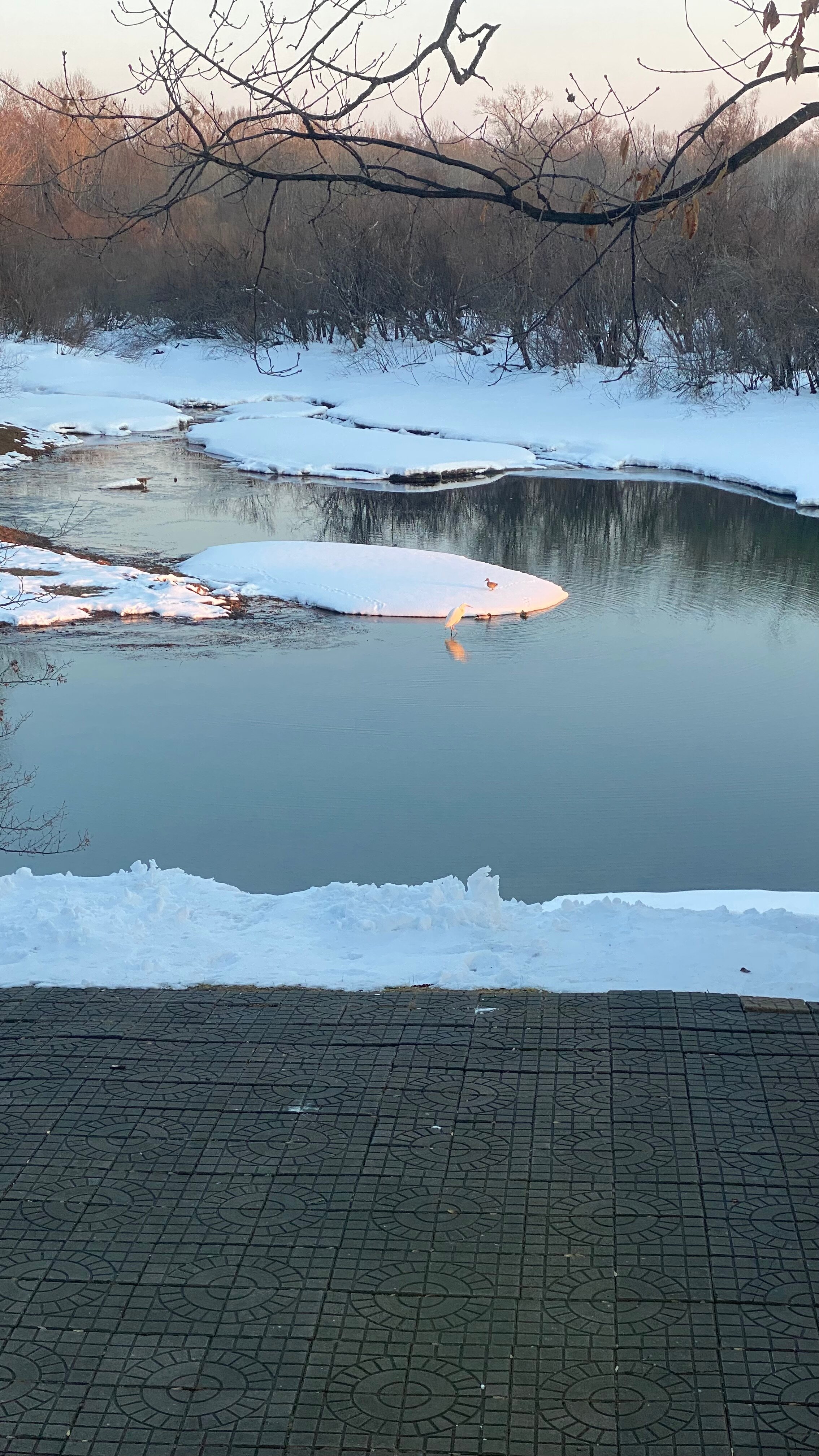 Фото Таежный берег