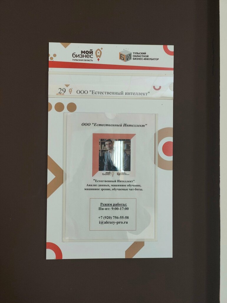 Software companies Естественный интеллект, Tula, photo