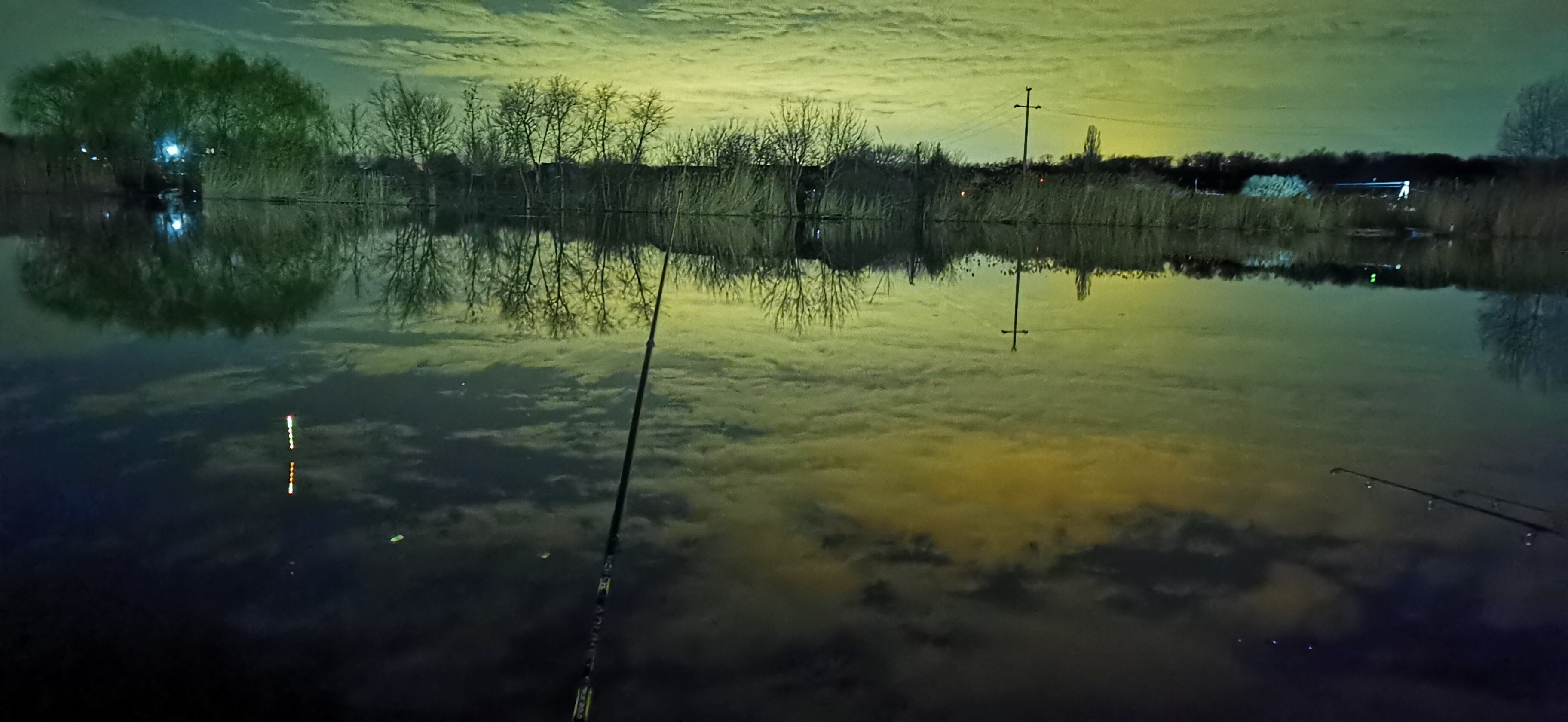 Фото Река лес