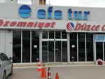 Duzce Guven (İstanbul, Ümraniye, Şerifali Mah., Burhan Sok., 14), bus transportation