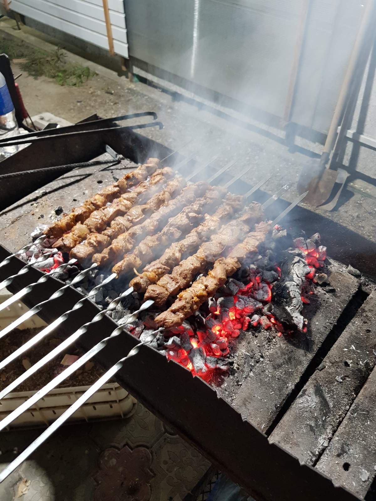 Фото Эльмаз