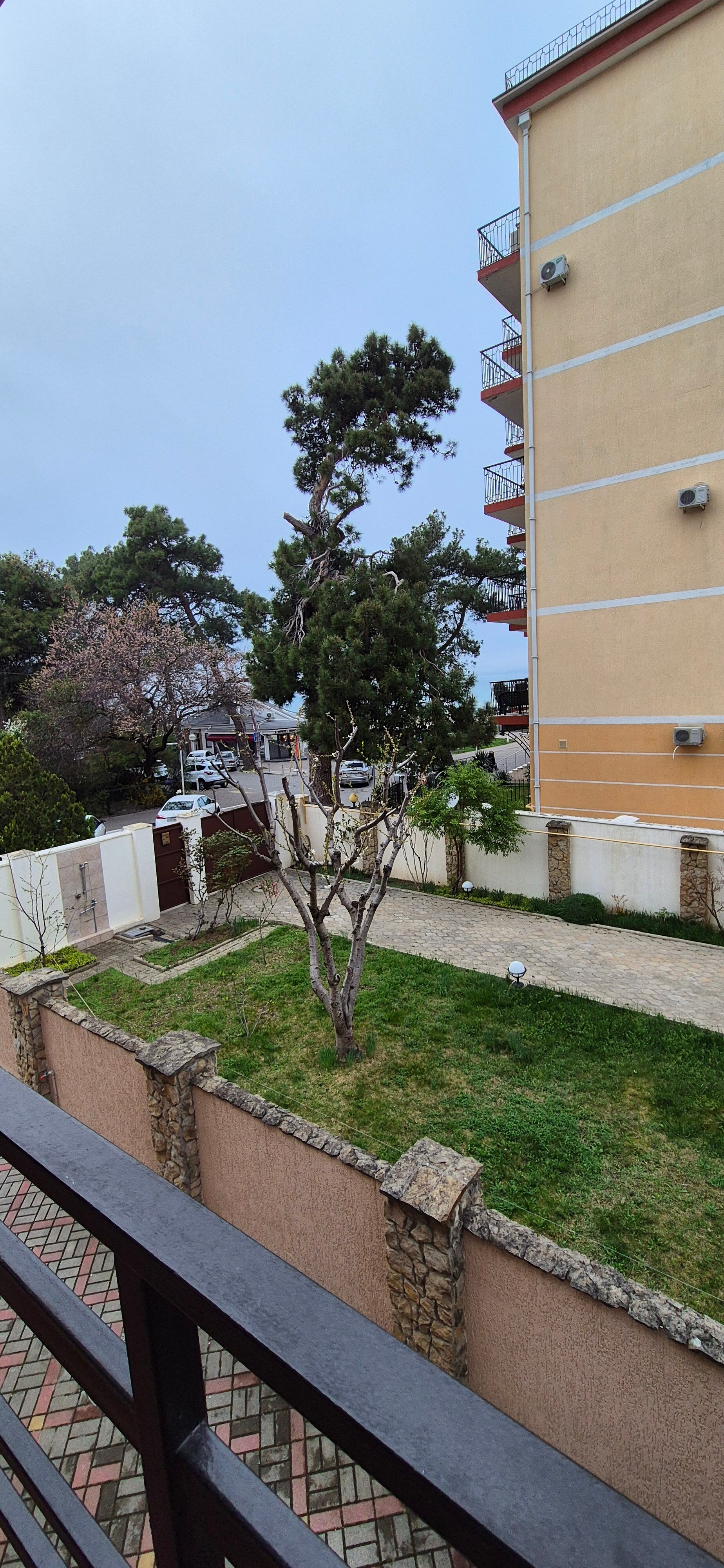 Фото Курзаль