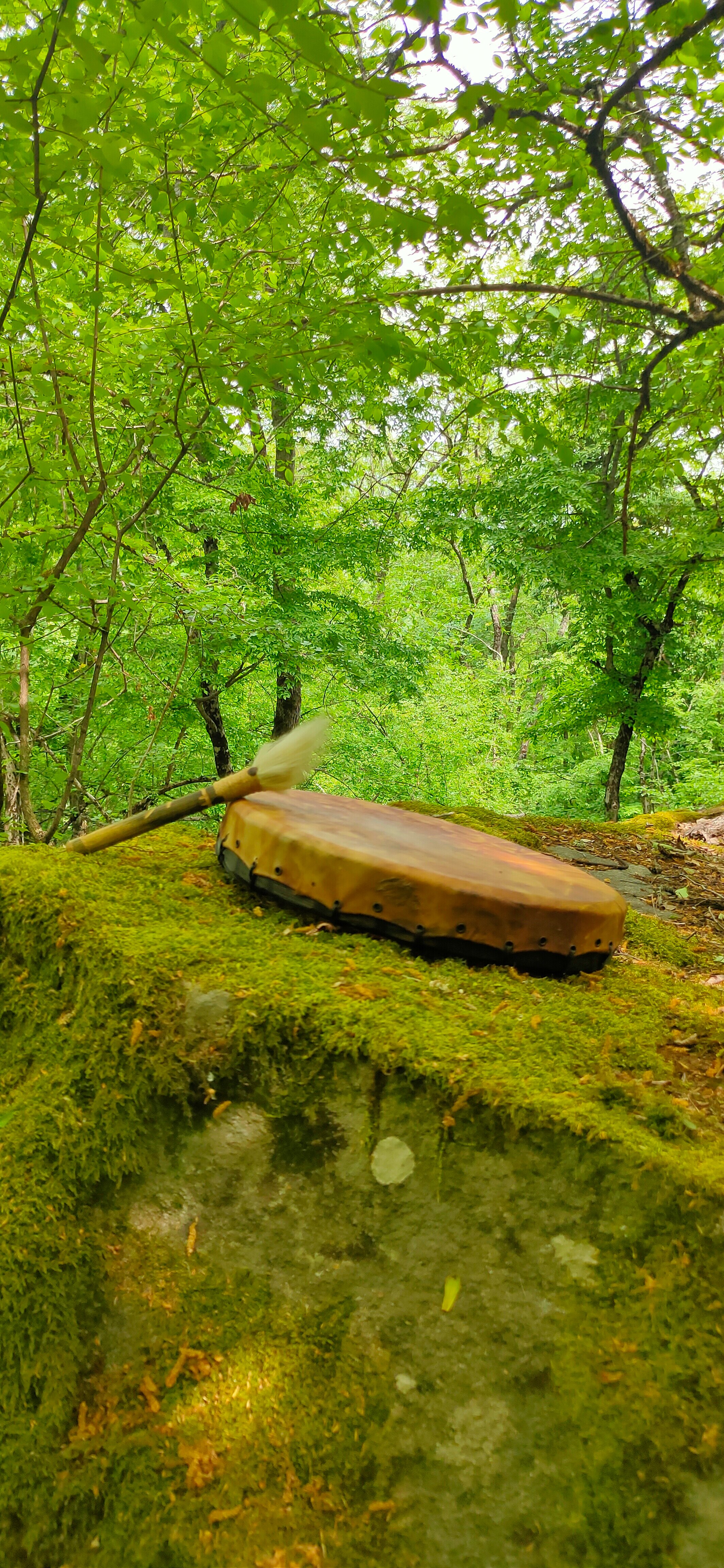 Фото Купольный домик в горах Крыма