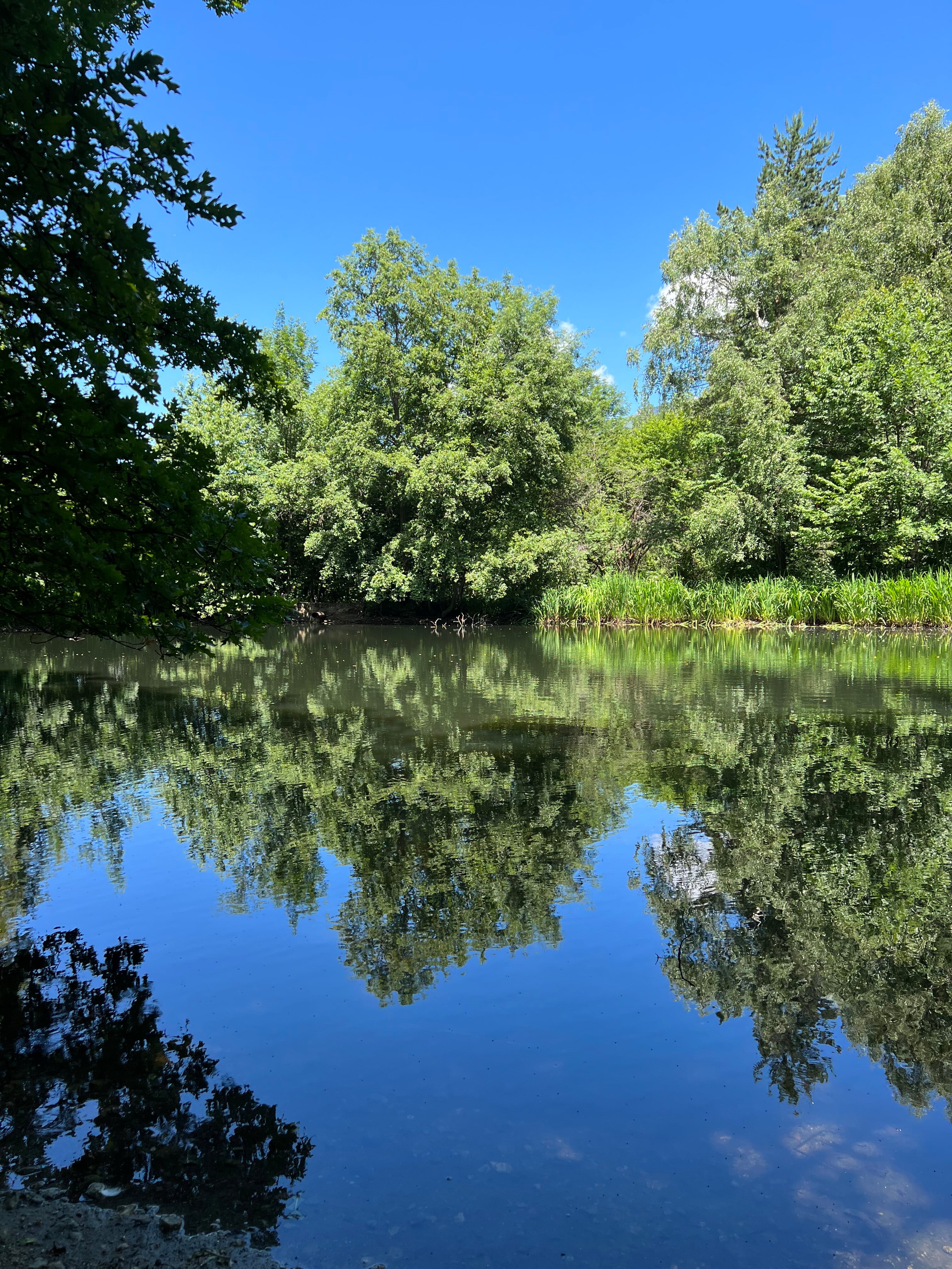 Фото Малинки