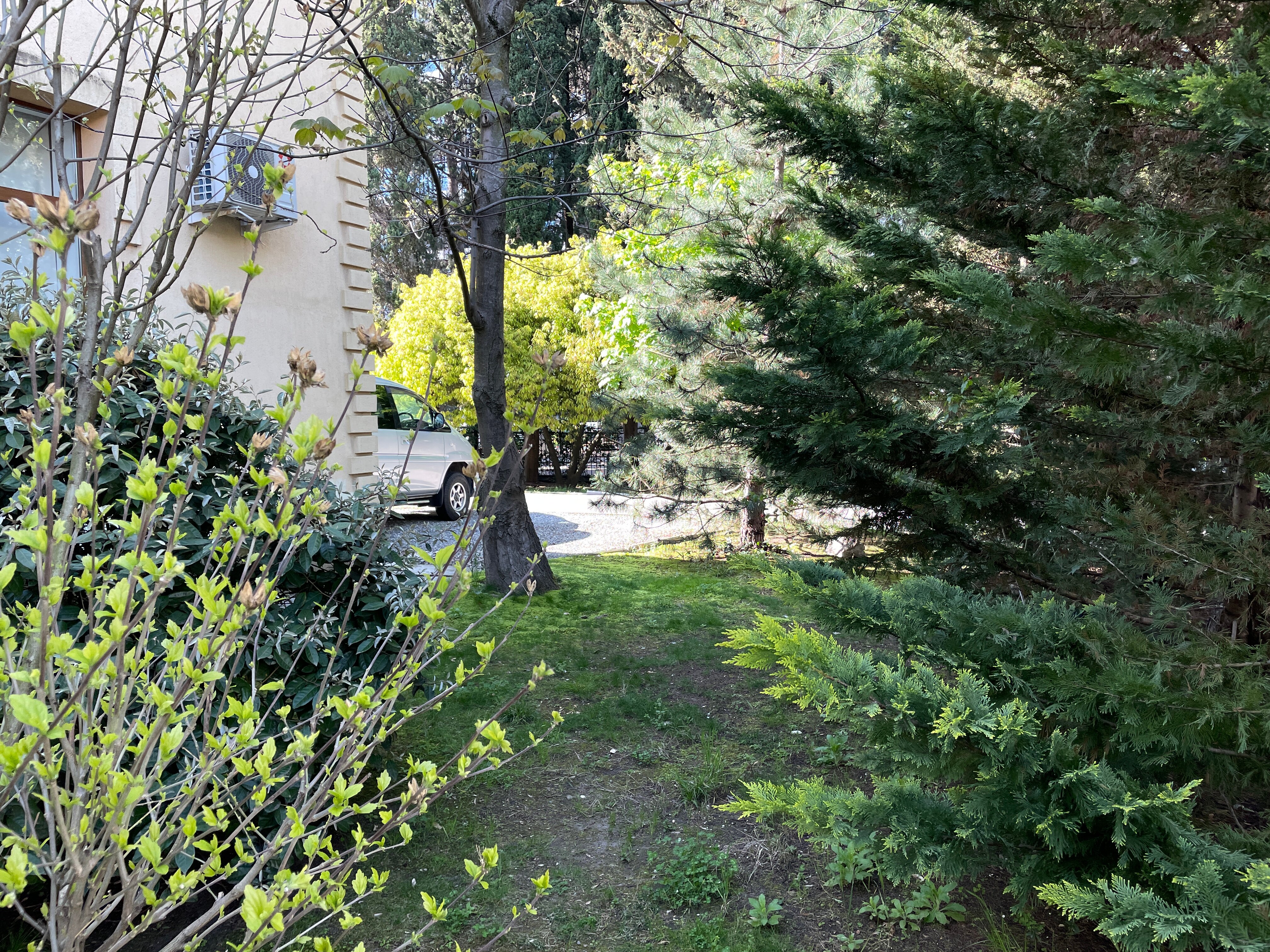 Фото Орхидея Парк