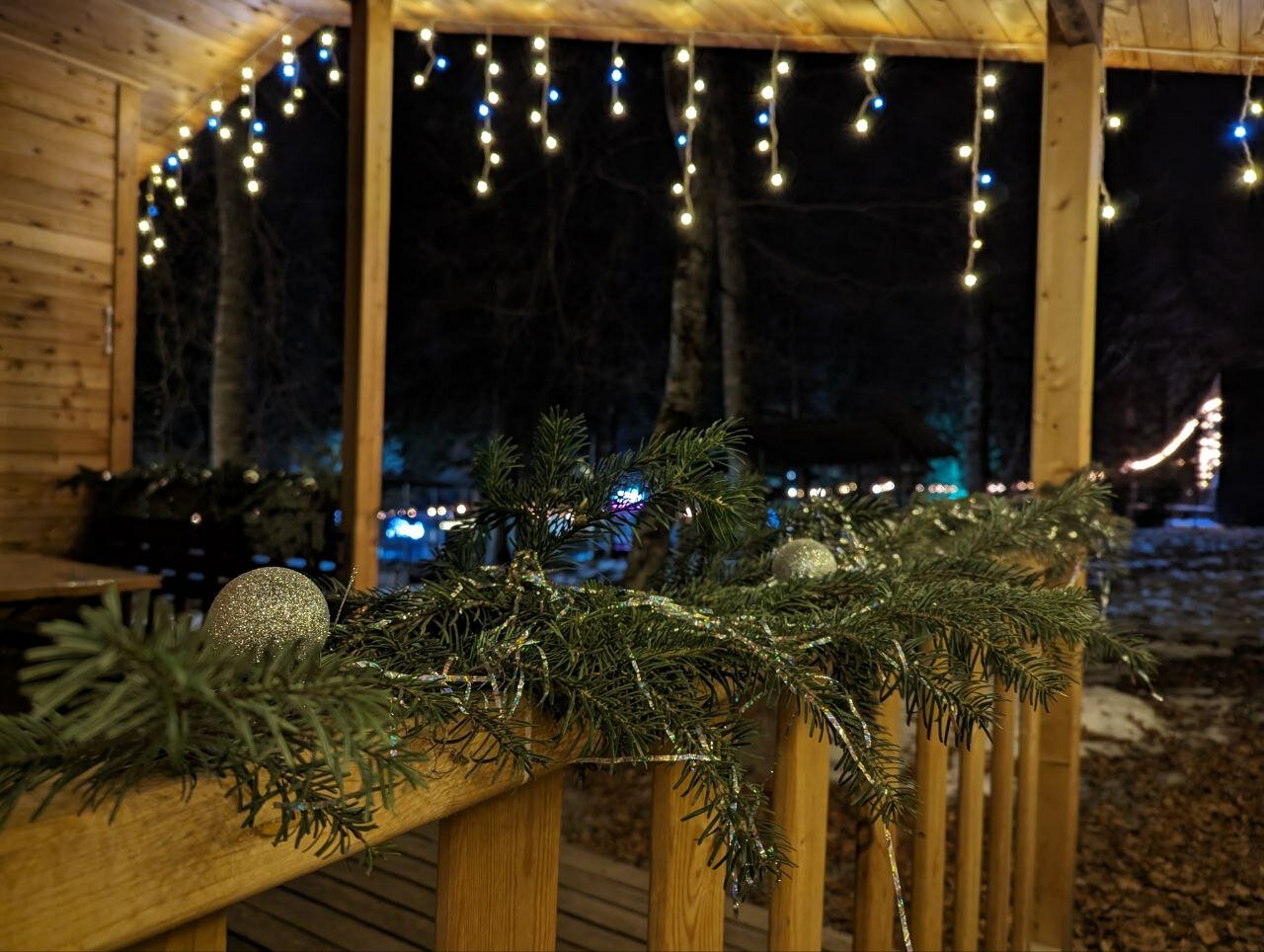 Фото Горная Мята