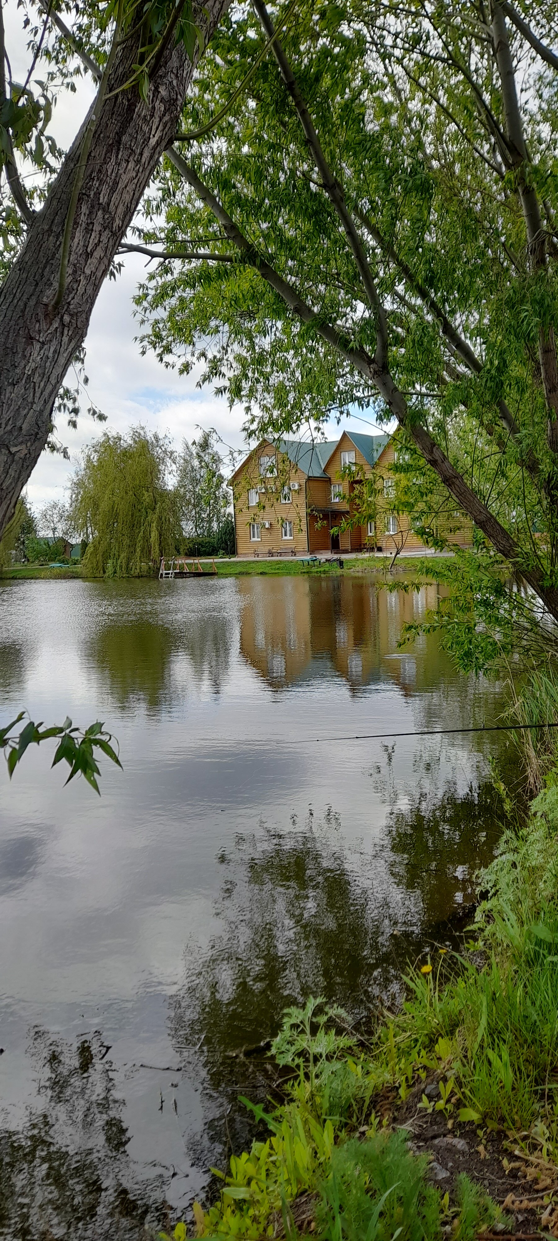 Фото Zолотой саZан