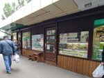 Рыба морепродукты (9 Yanvarya Street, 278/5) ، الأسماك والمأكولات البحرية