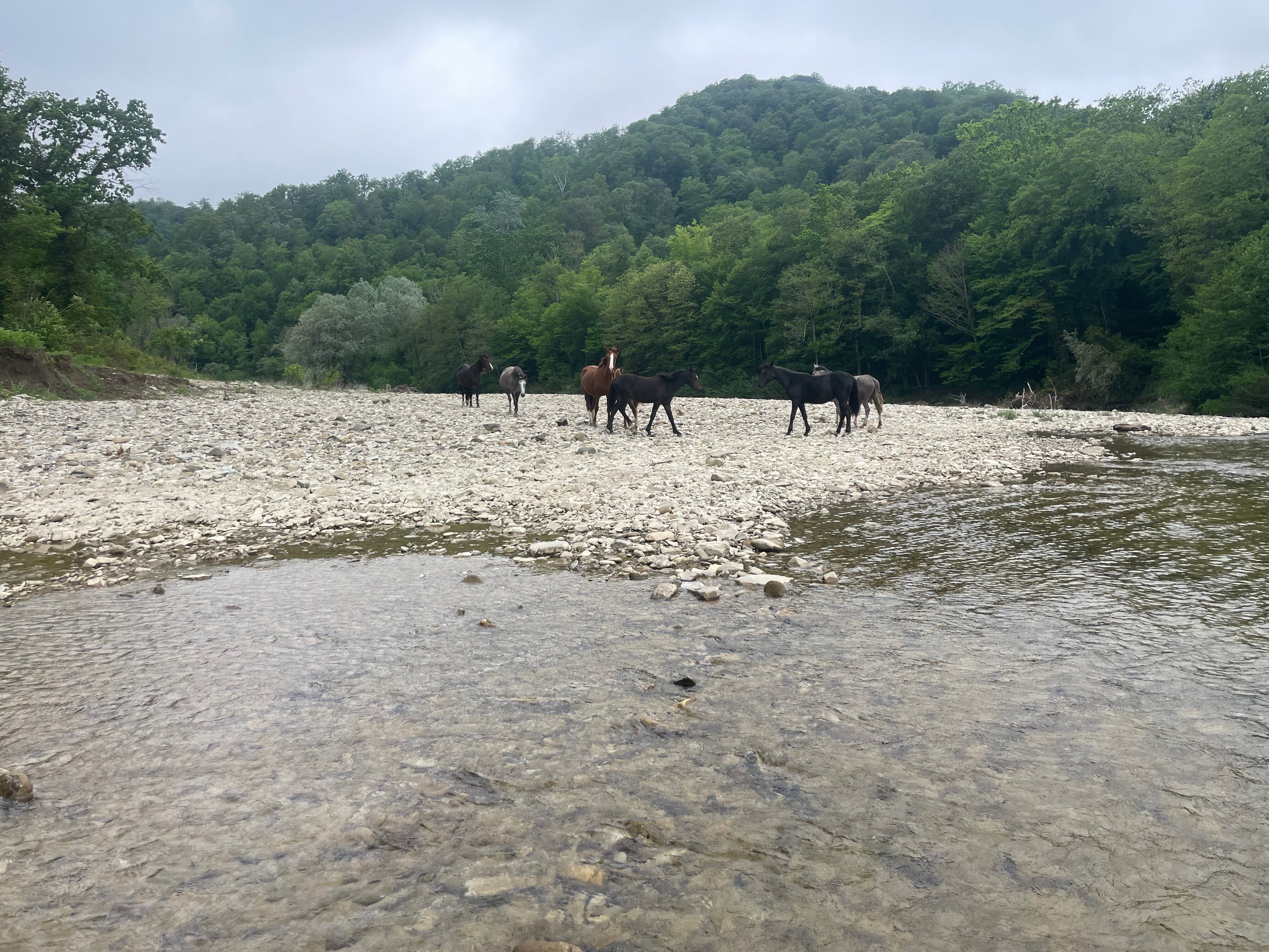 Фото Дома у моря