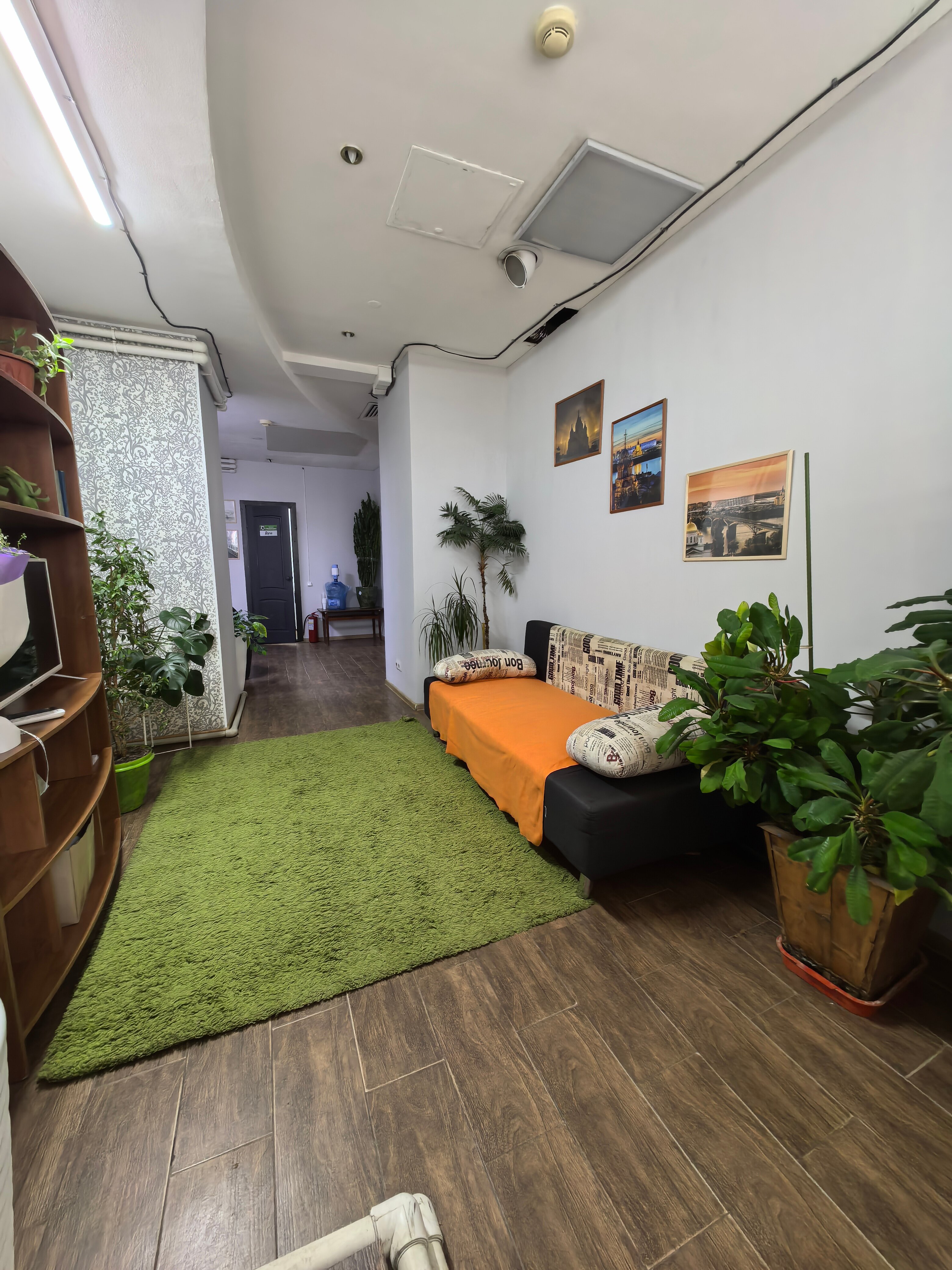 Фото Чемпион