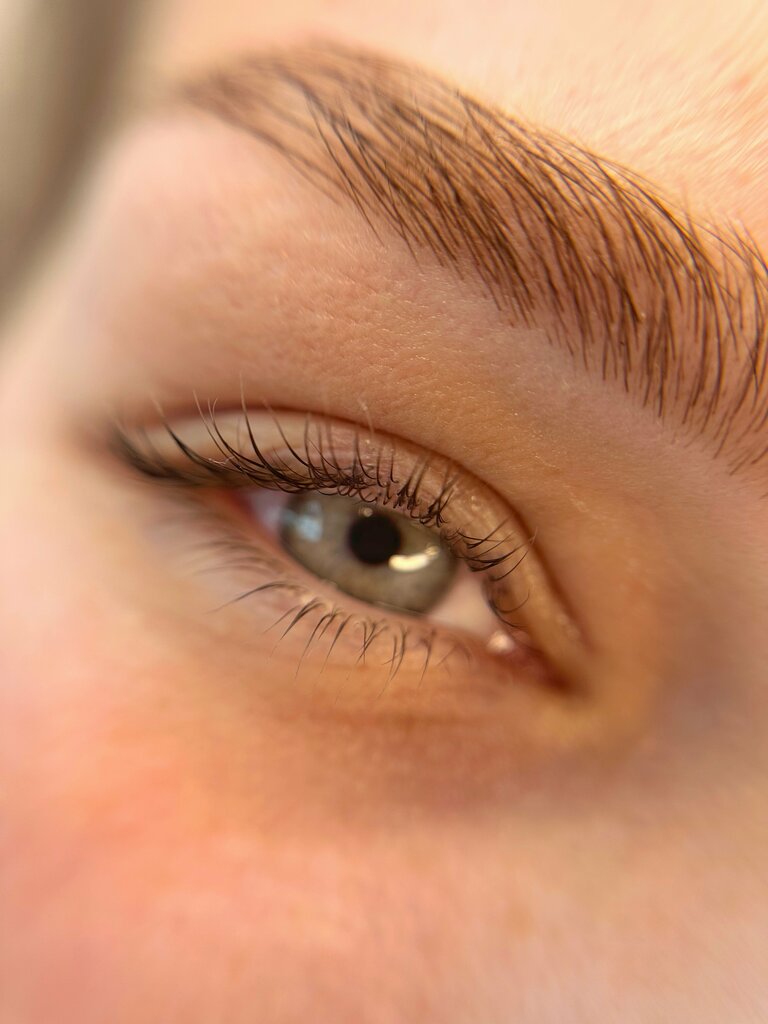 Eyebrow and eyelash salon About Brows, Orel, photo