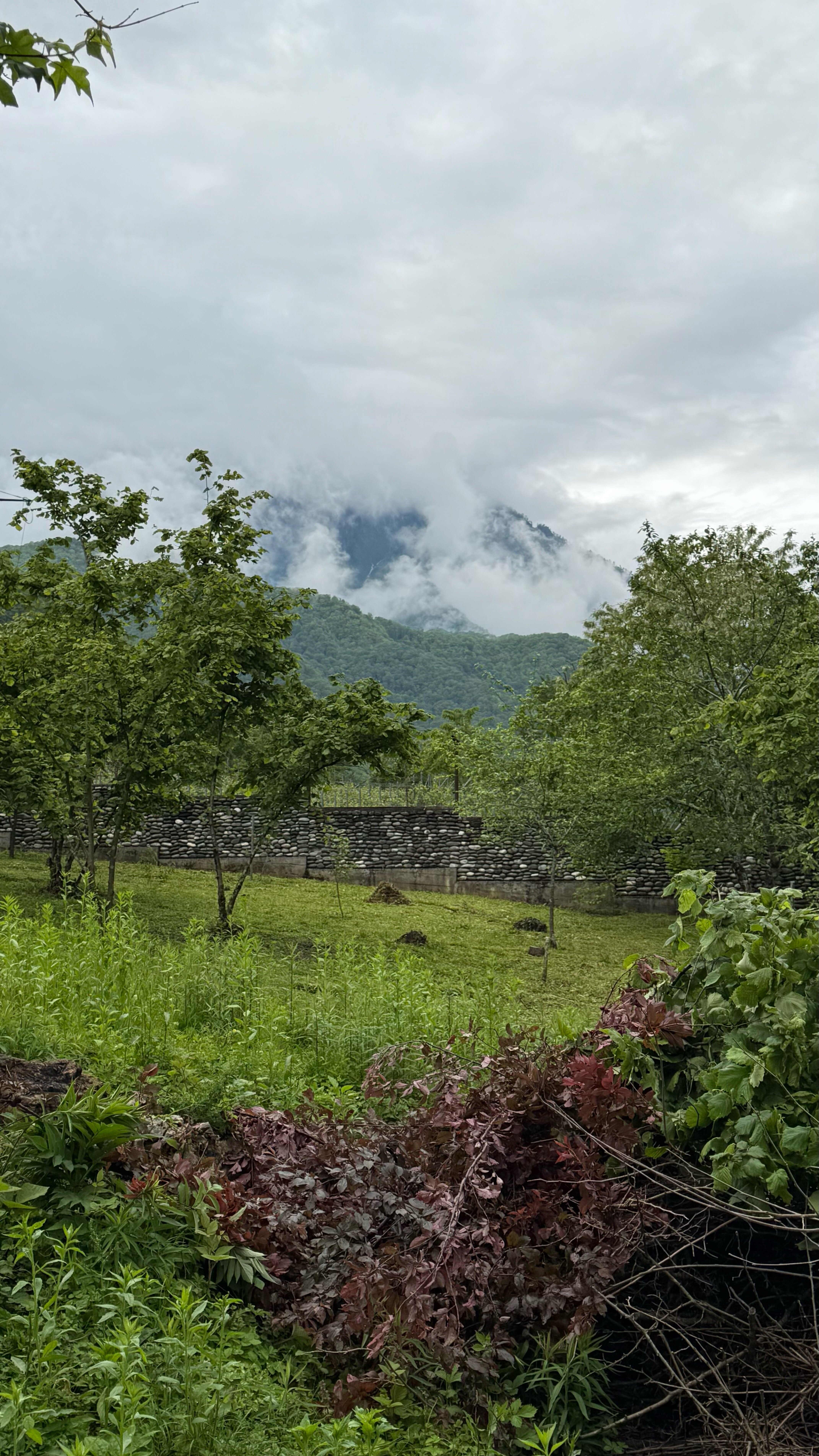 Фото Домик в деревне