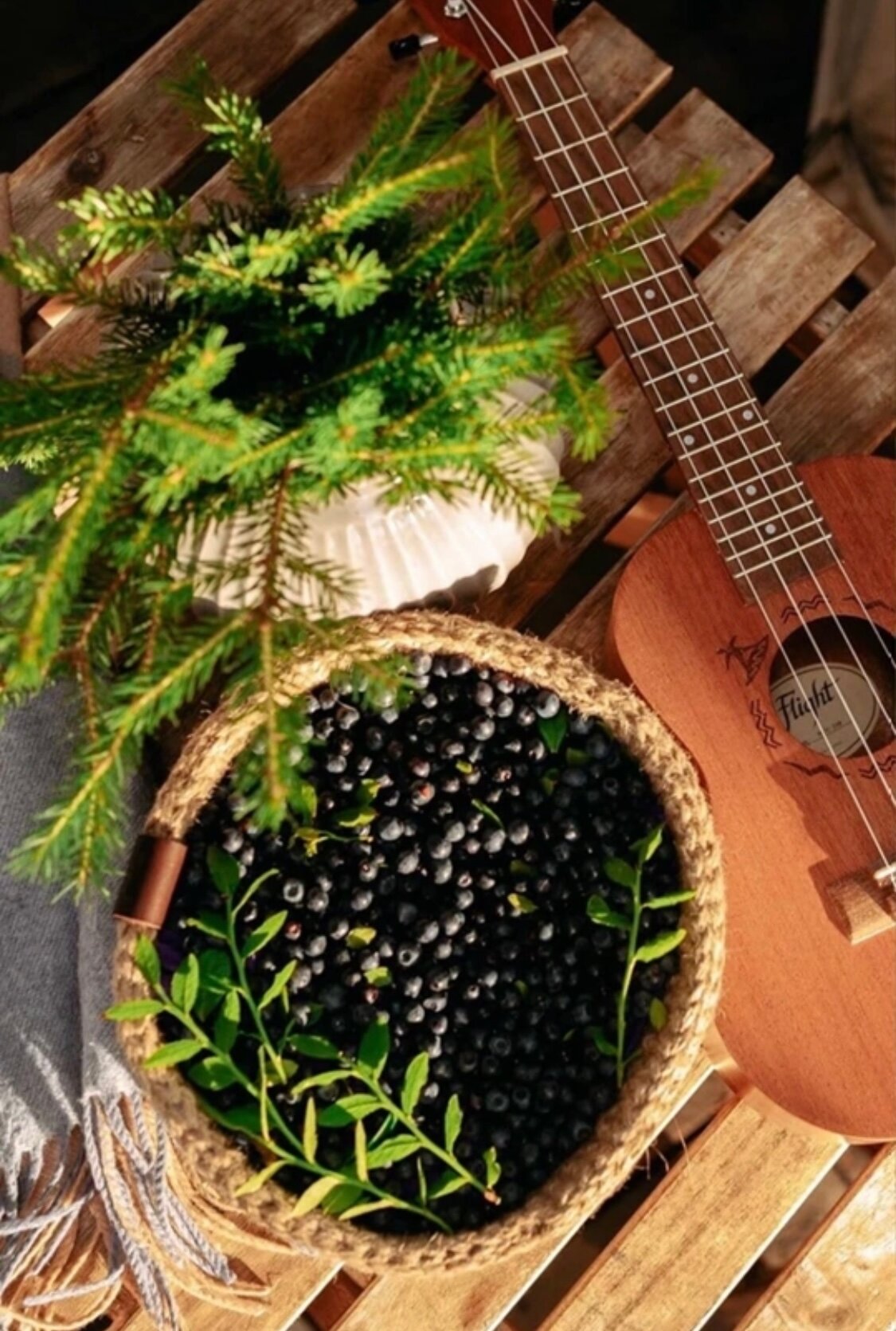 Фото Sabrina’s green house