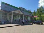 Lotos (Leningradskaya ulitsa, 38), tintorería