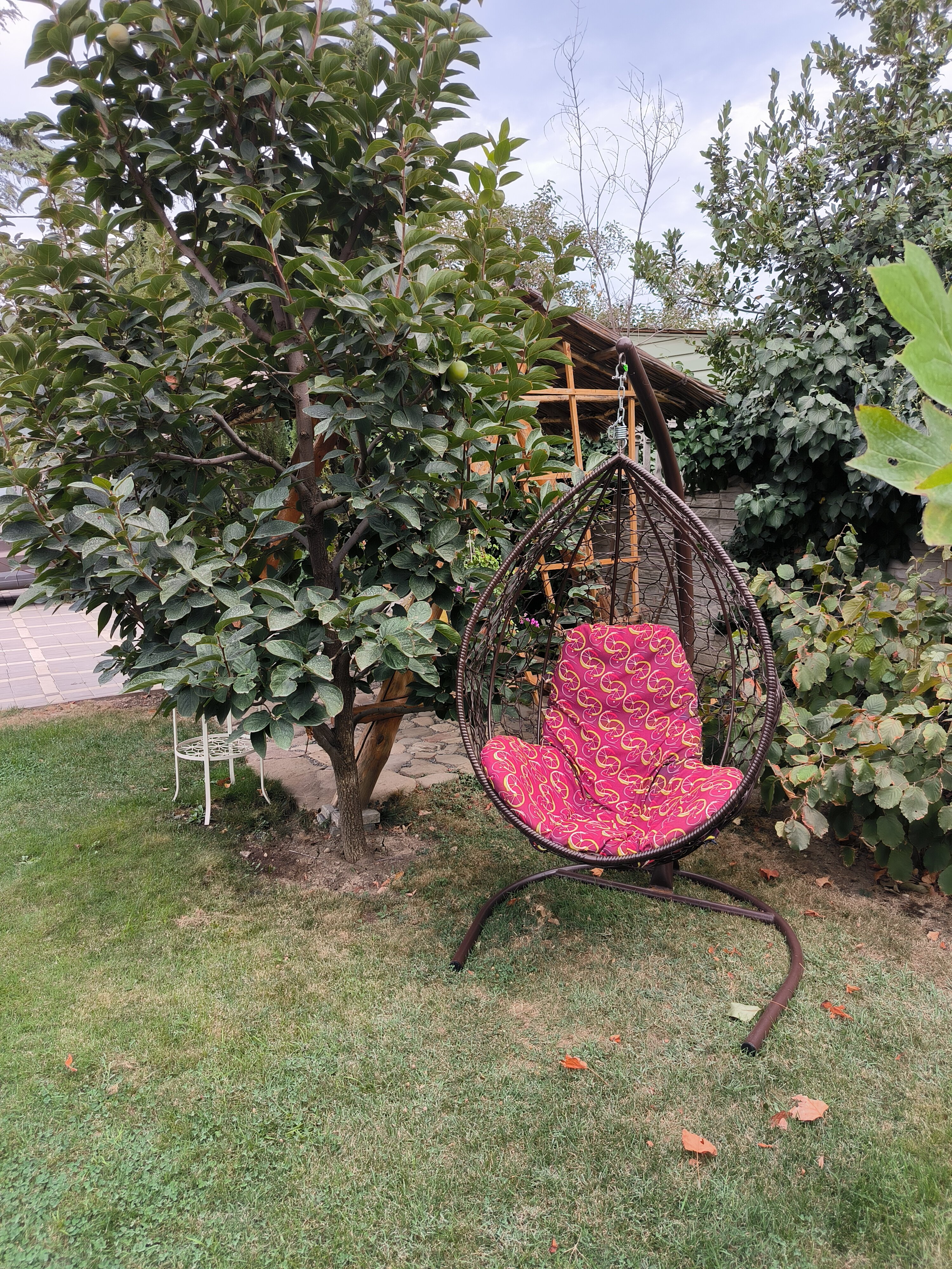 Фото Витязь