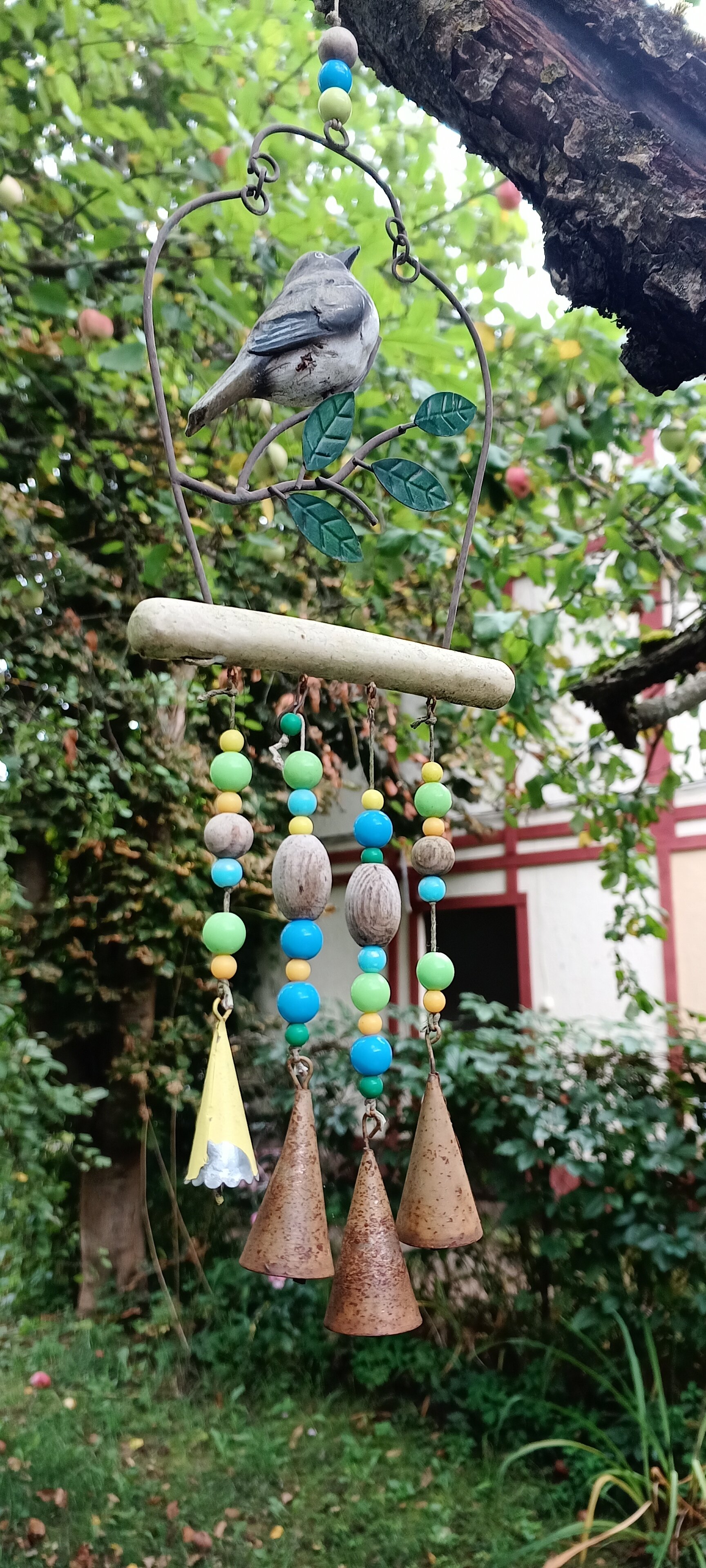 Фото КартошКино