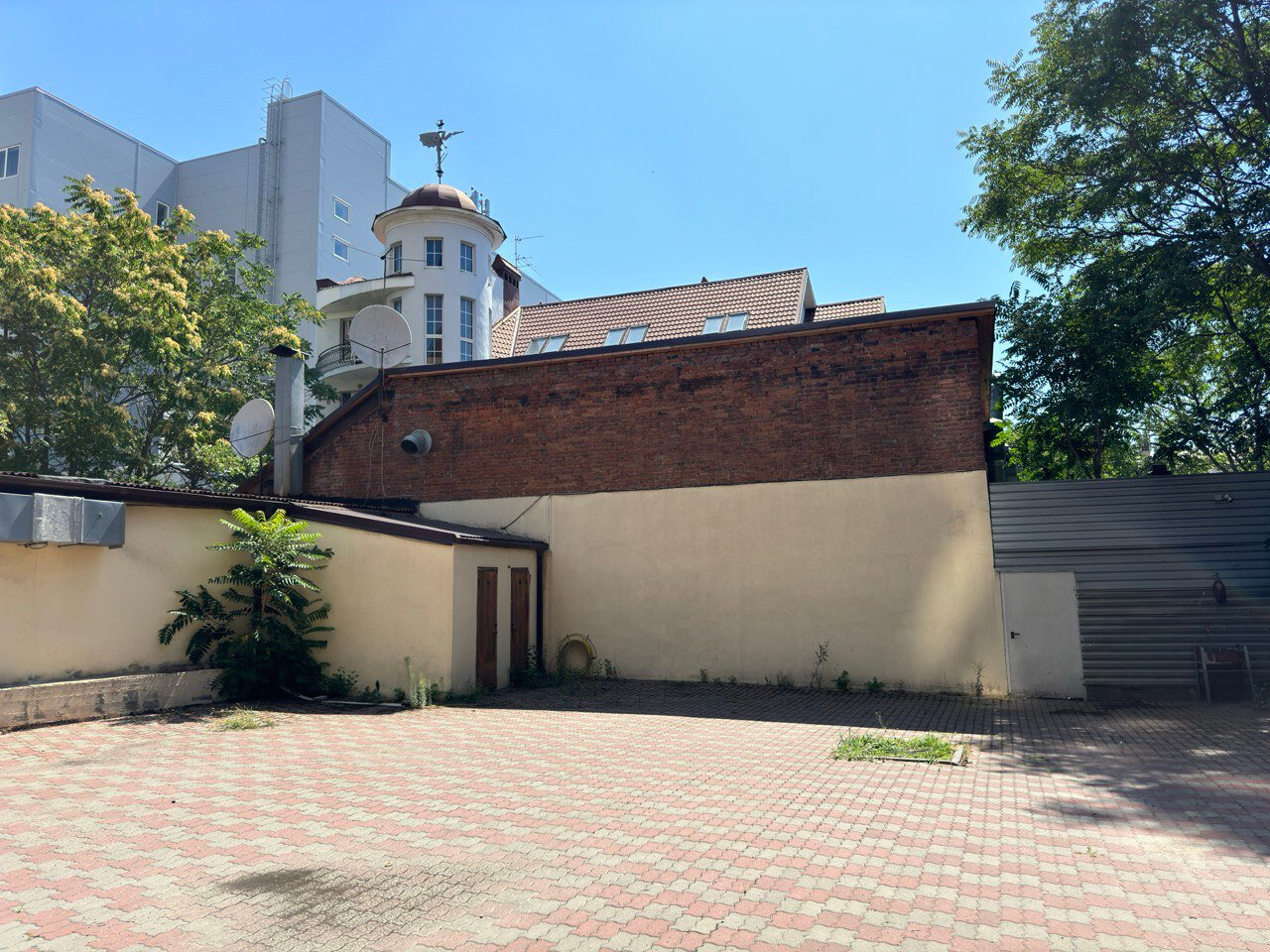 Фото Мистер Икс