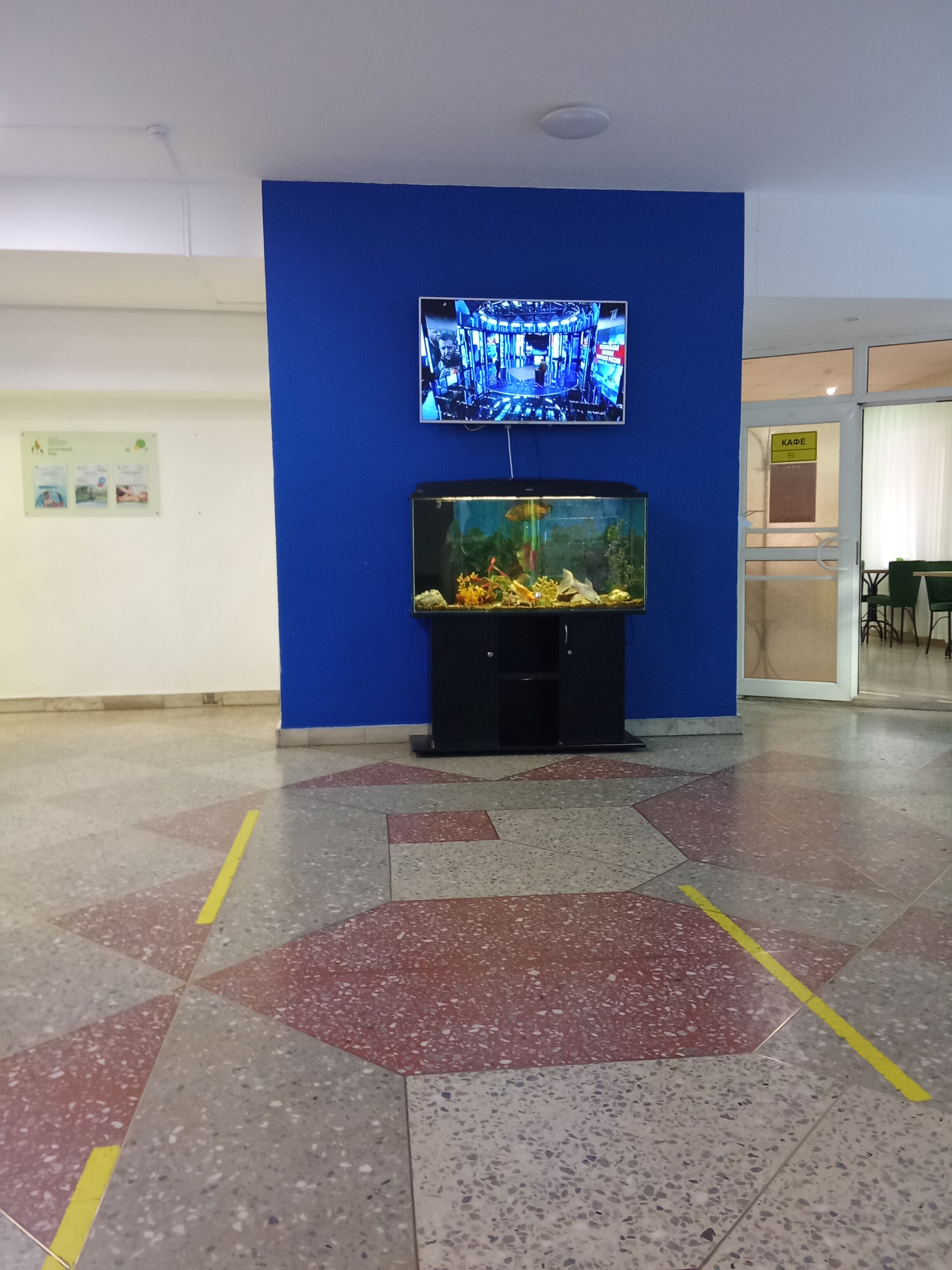 Фото Сосновый бор