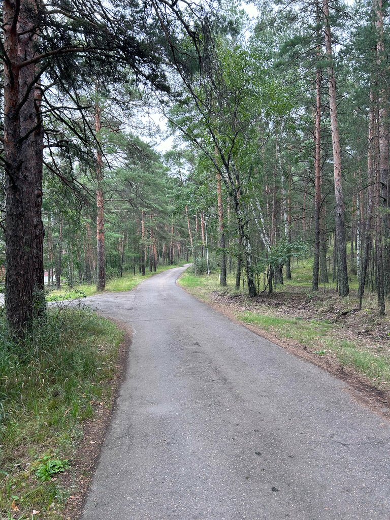 Place for picnic Place for picnic, Akmolinsk District, photo