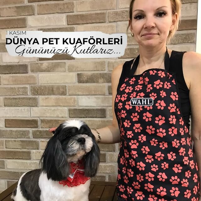 Pet salon Petty Barber, Izmir, photo