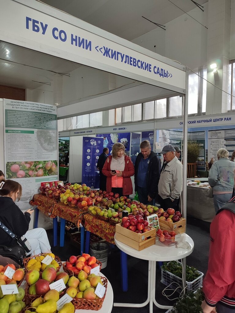Research institute Research Institute of Horticulture and Medicinal Plants Zhigulyovskie Sady, Samara, photo