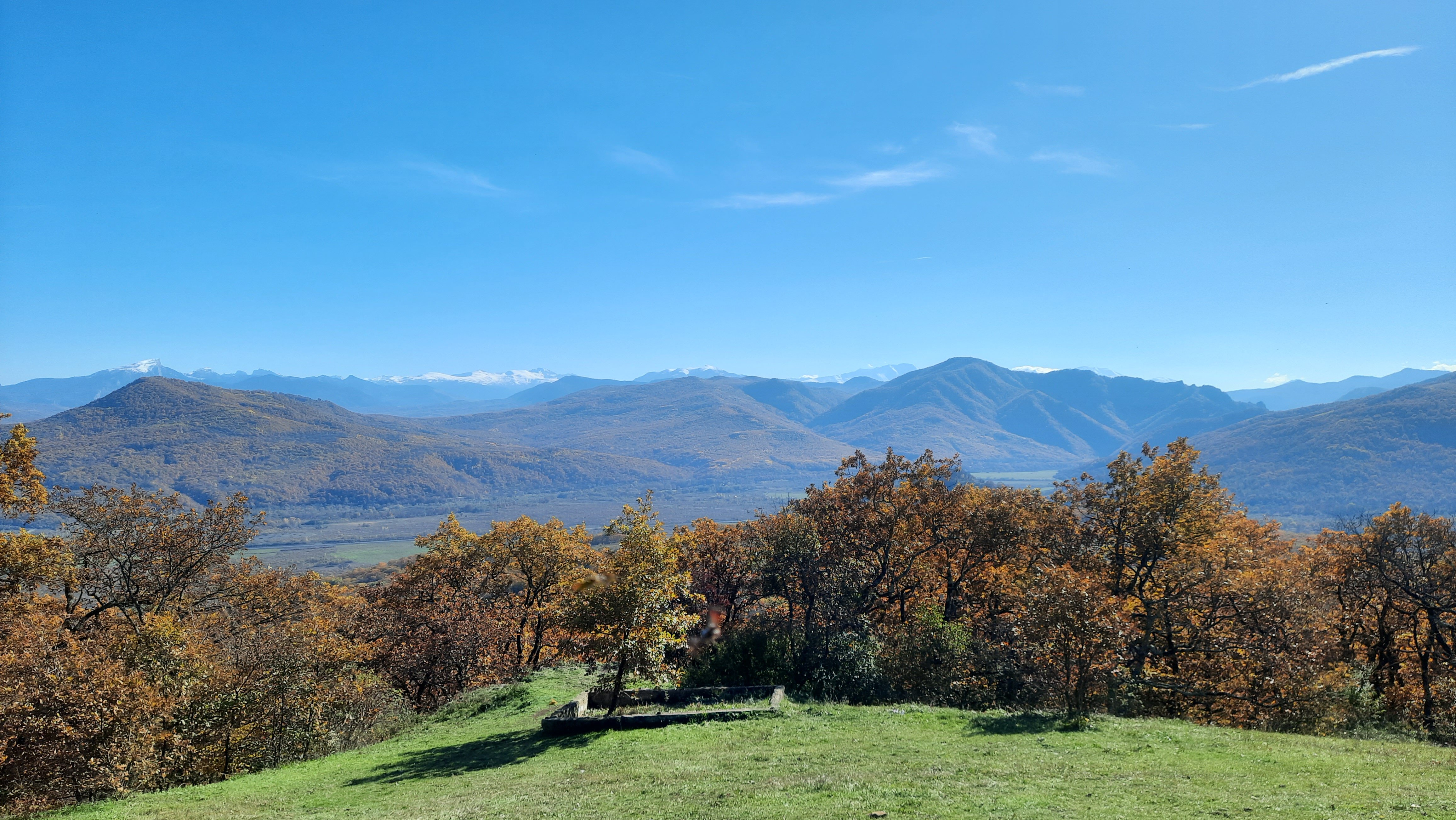 Фото Шале Дрозды