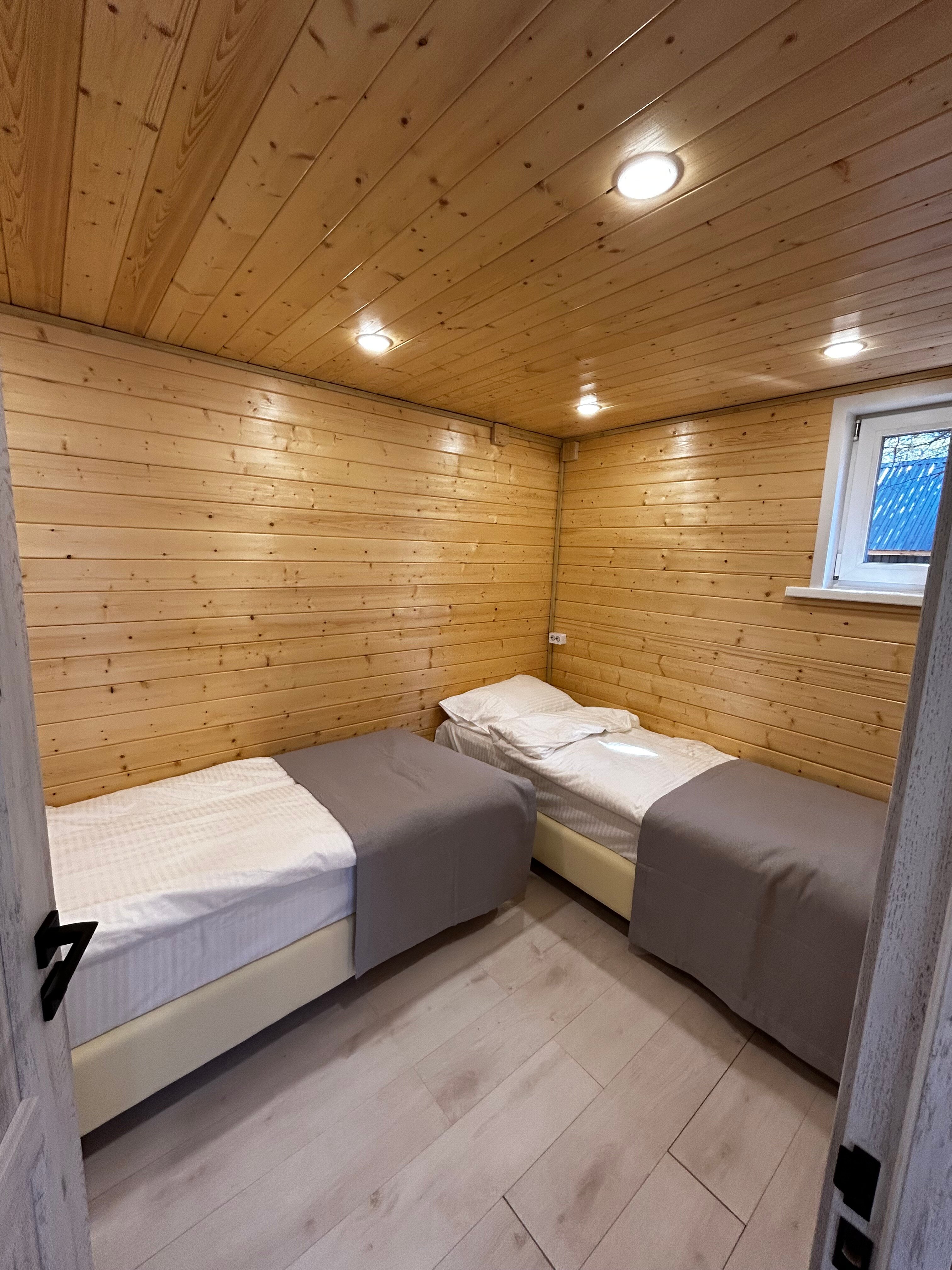 Фото Багульник