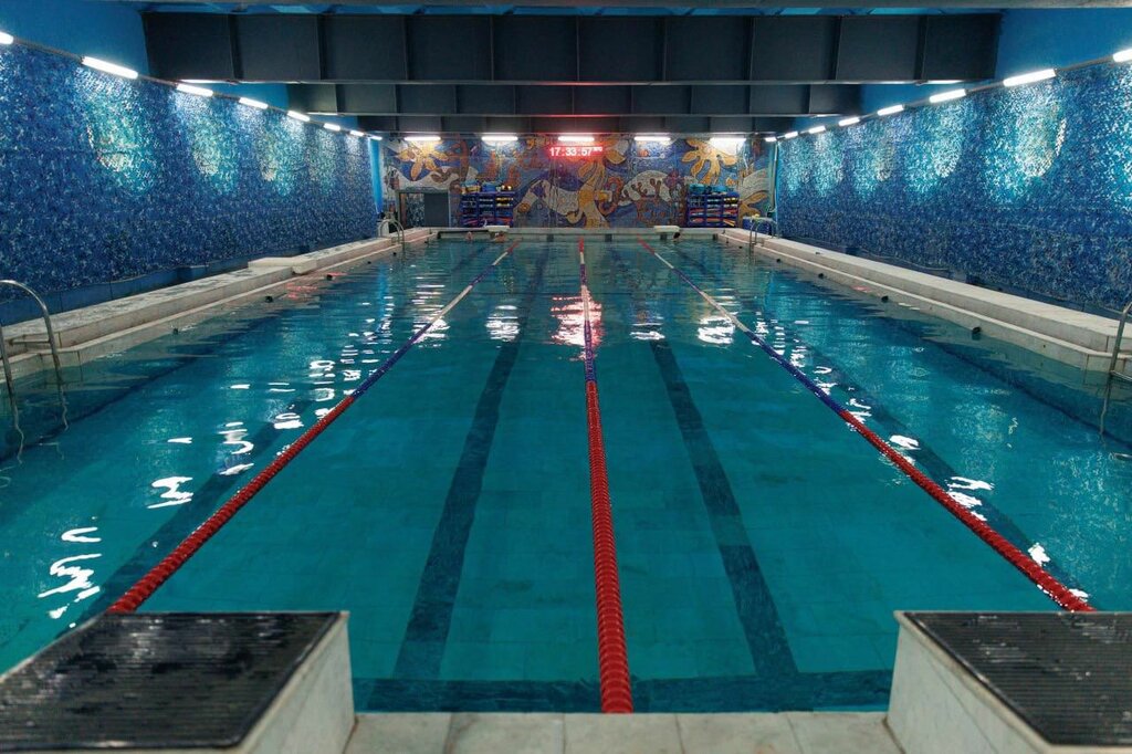 Swimming pool GAPOU Ufimsky kolledzh predprinimatelstva, ekologii i dizayna, basseyn, Ufa, photo
