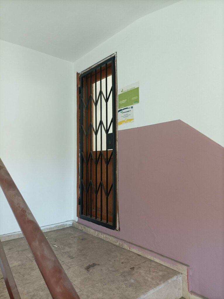 Agricultural enterprise Demir Microgreens, Antalya, photo