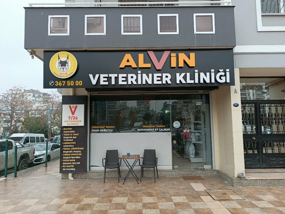 Veterinary clinic Alvin Veterinary Clinic, Izmir, photo