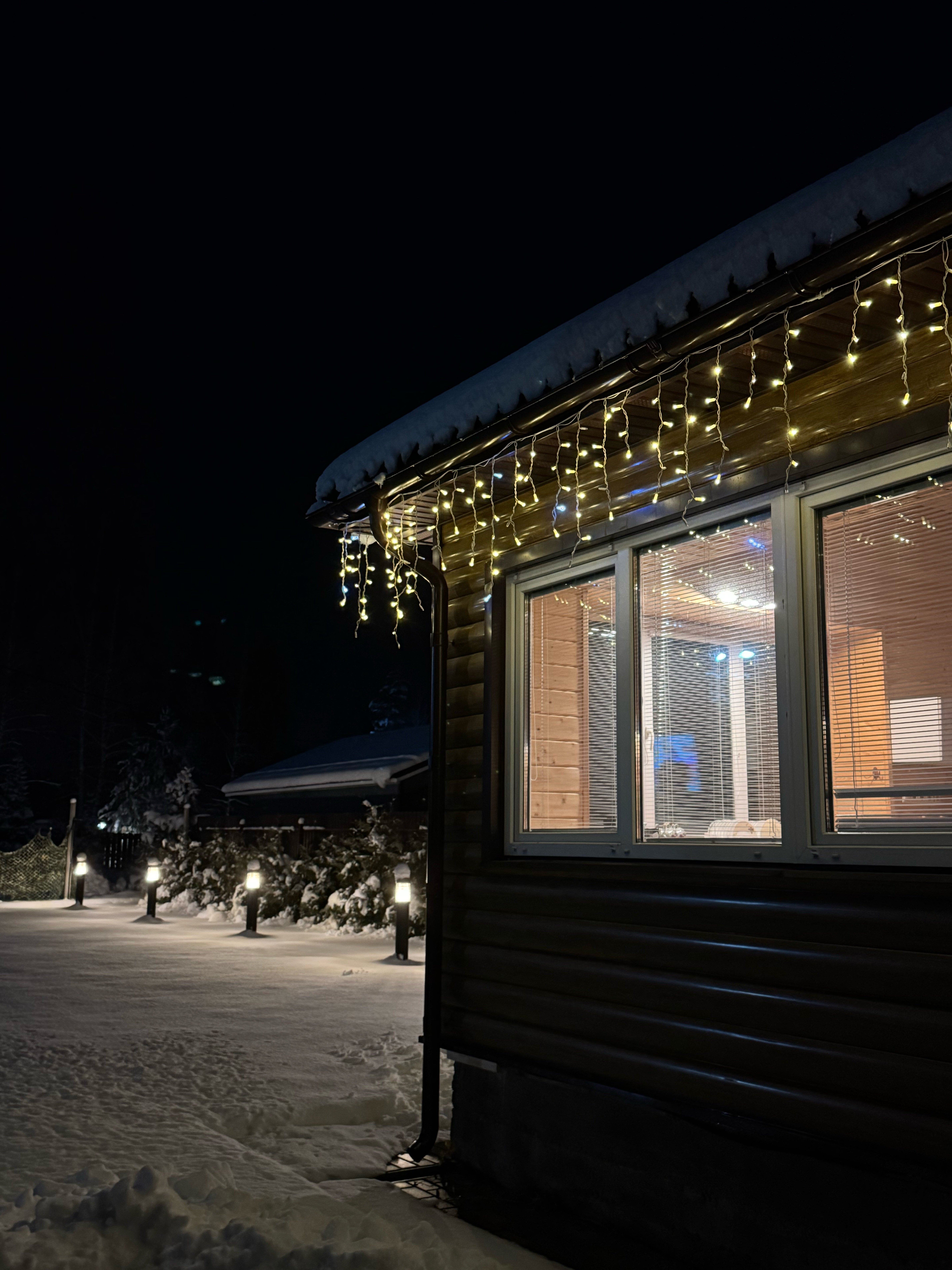 Фото Дельфин